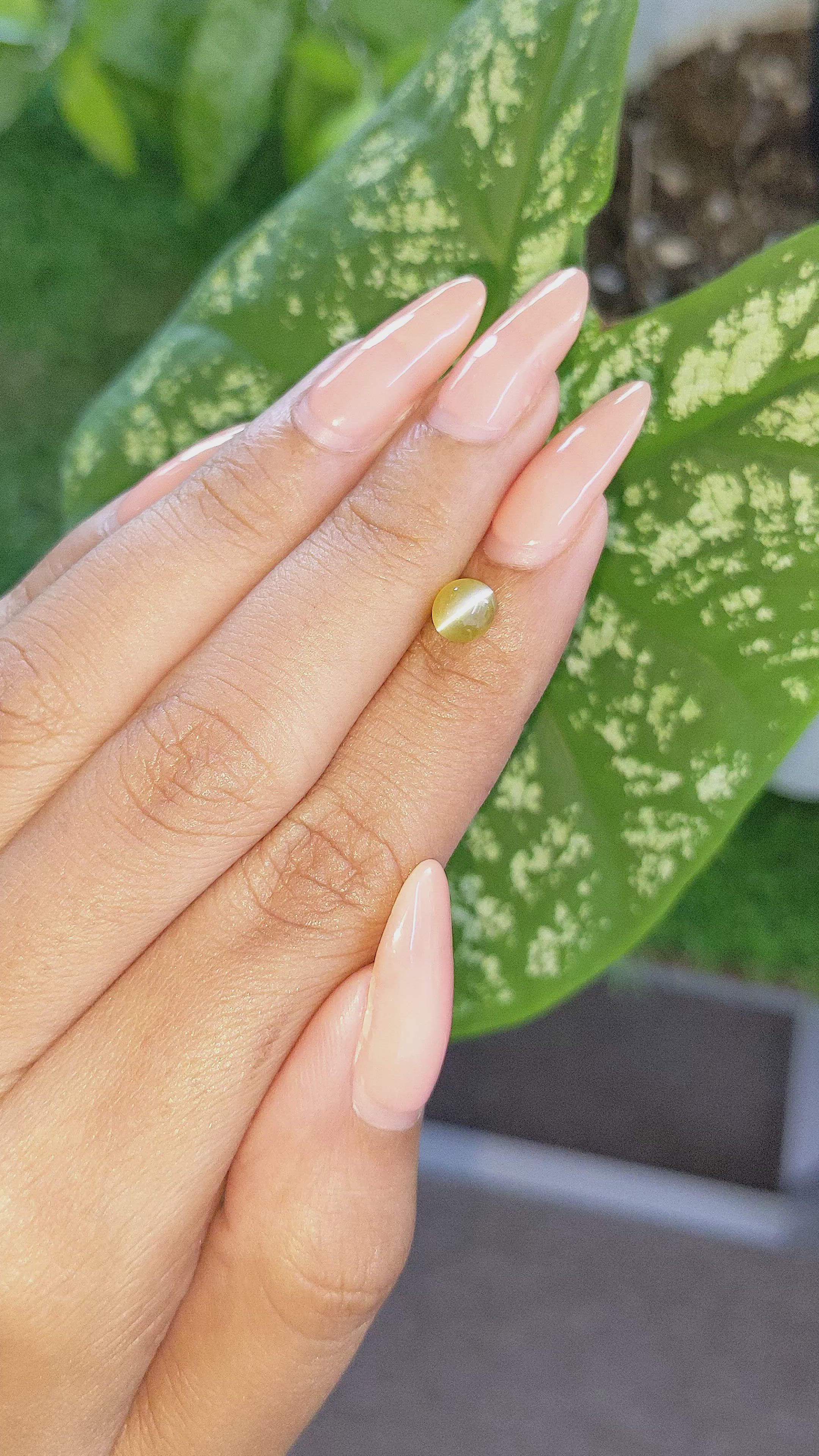 1.21 Ct. Greenish Yellow Cabochon Chrysoberyl from Ceylon (Sri Lanka) Size Video