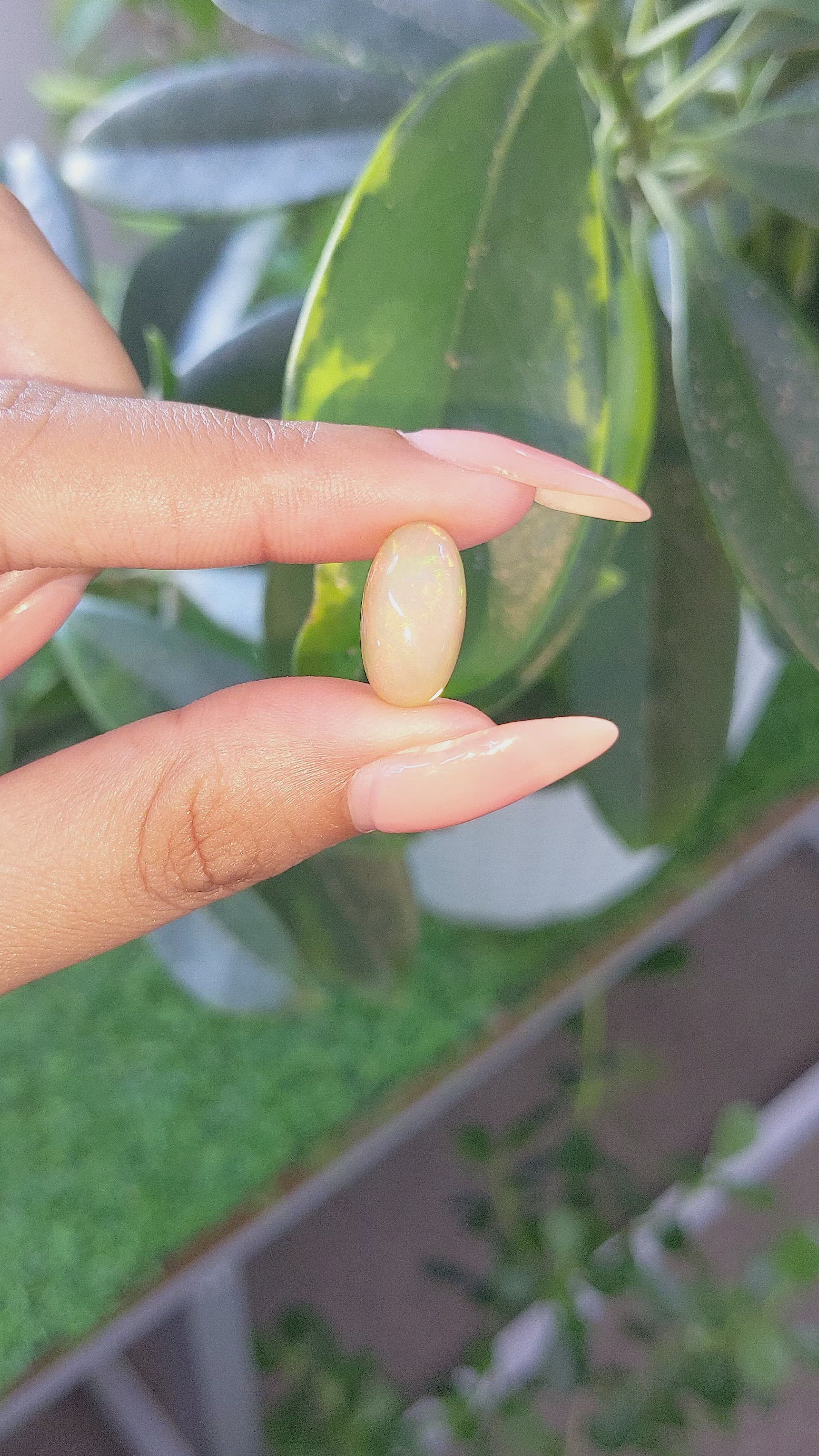 5.34 Ct. Multi Color Cabochon White Opal from Ethiopia Size Video