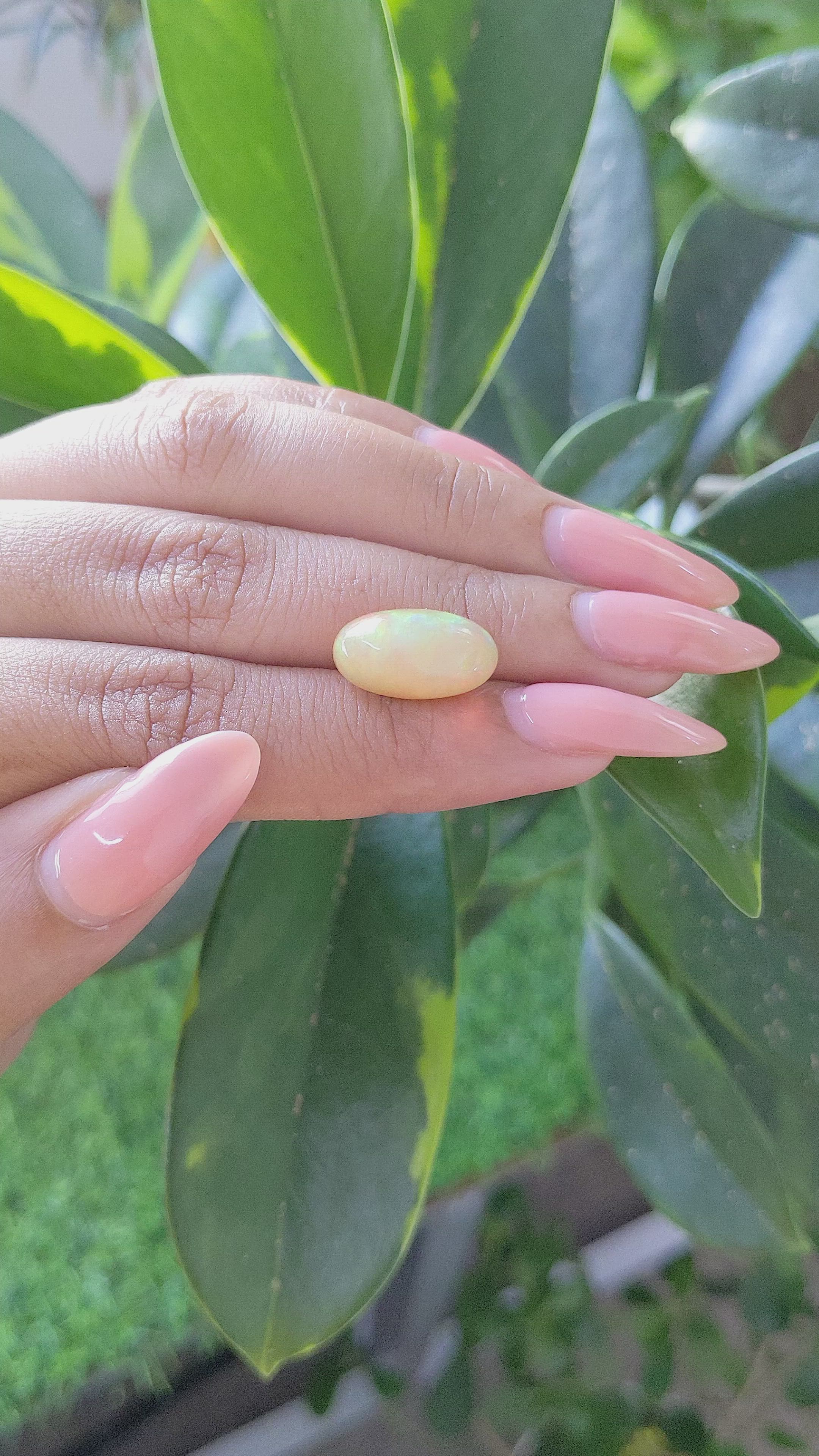 5.34 Ct. Multi Color Cabochon White Opal from Ethiopia Size Video