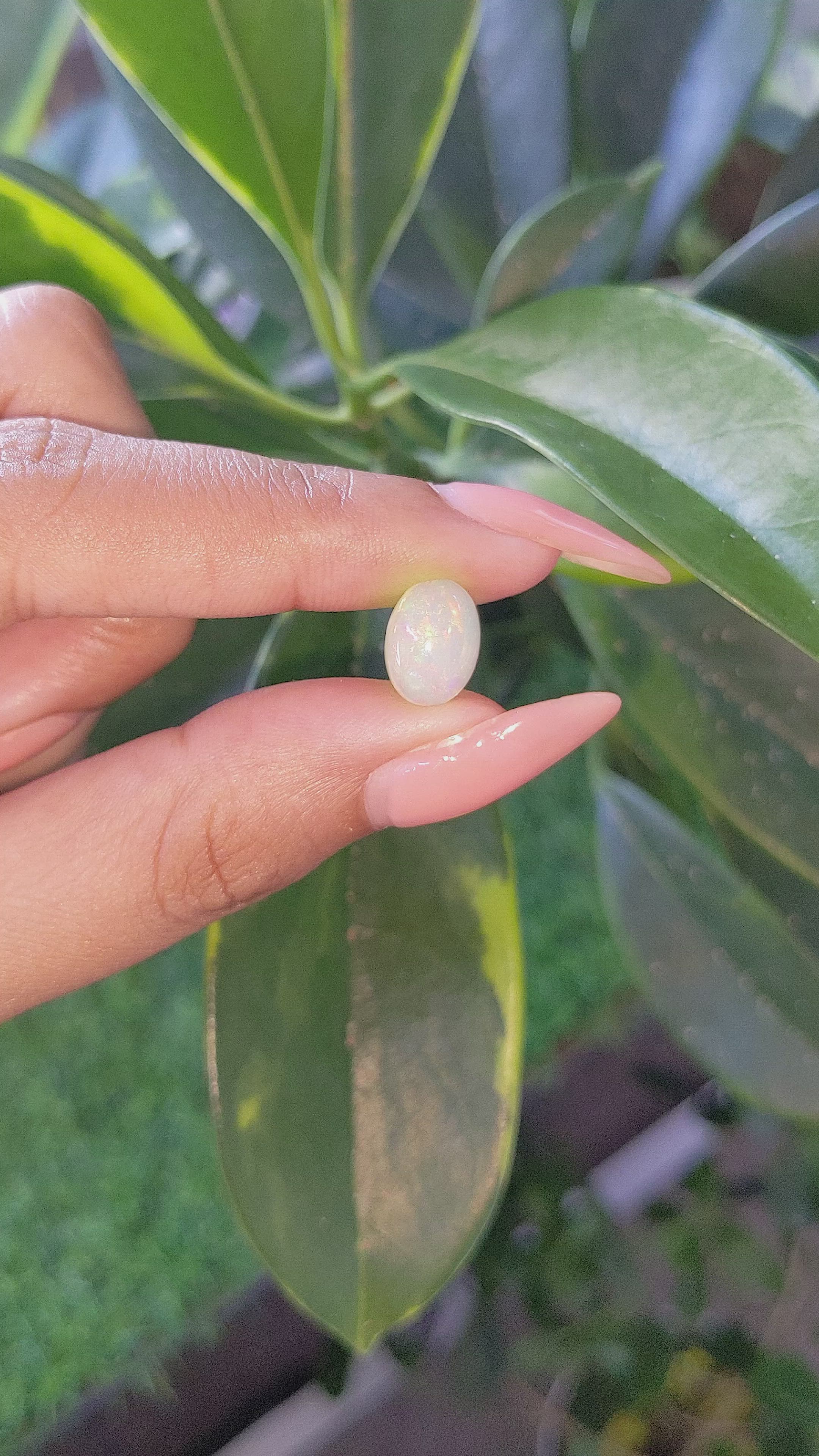 2.51 Ct. Multi Color Cabochon White Opal from Ethiopia Size Video