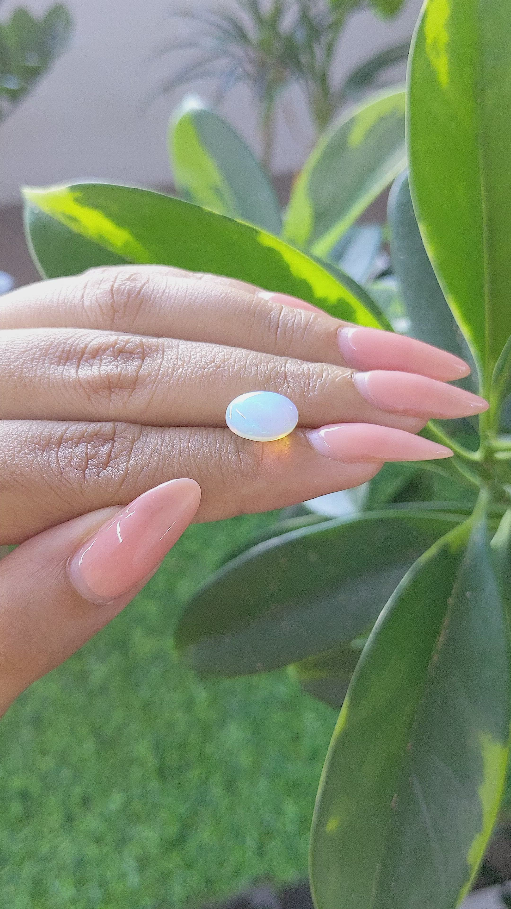 2.13 Ct. Multi Color Cabochon White Opal from Ethiopia Size Video