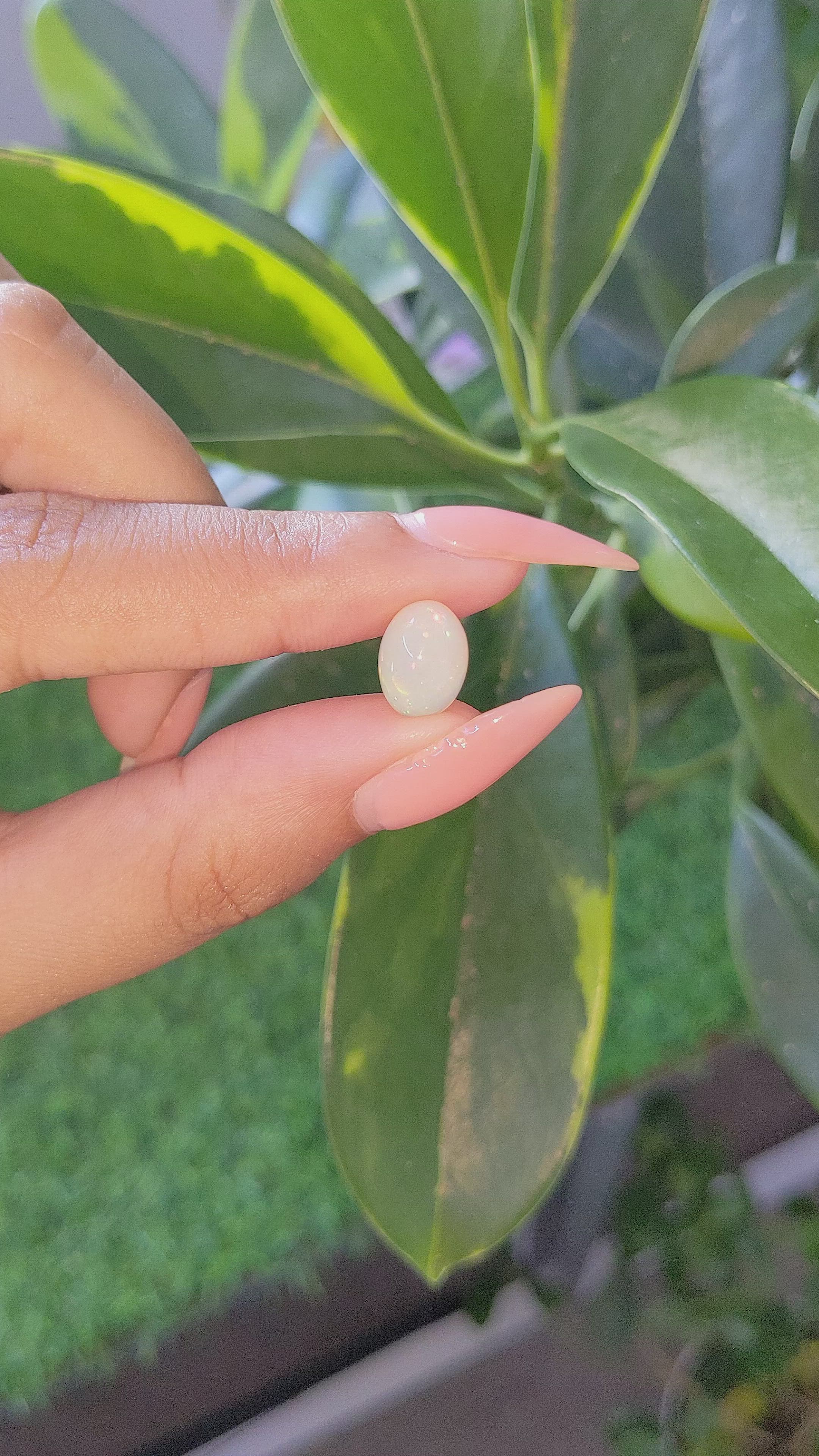 2.07 Ct. Multi Color Cabochon White Opal from Ethiopia Size Video