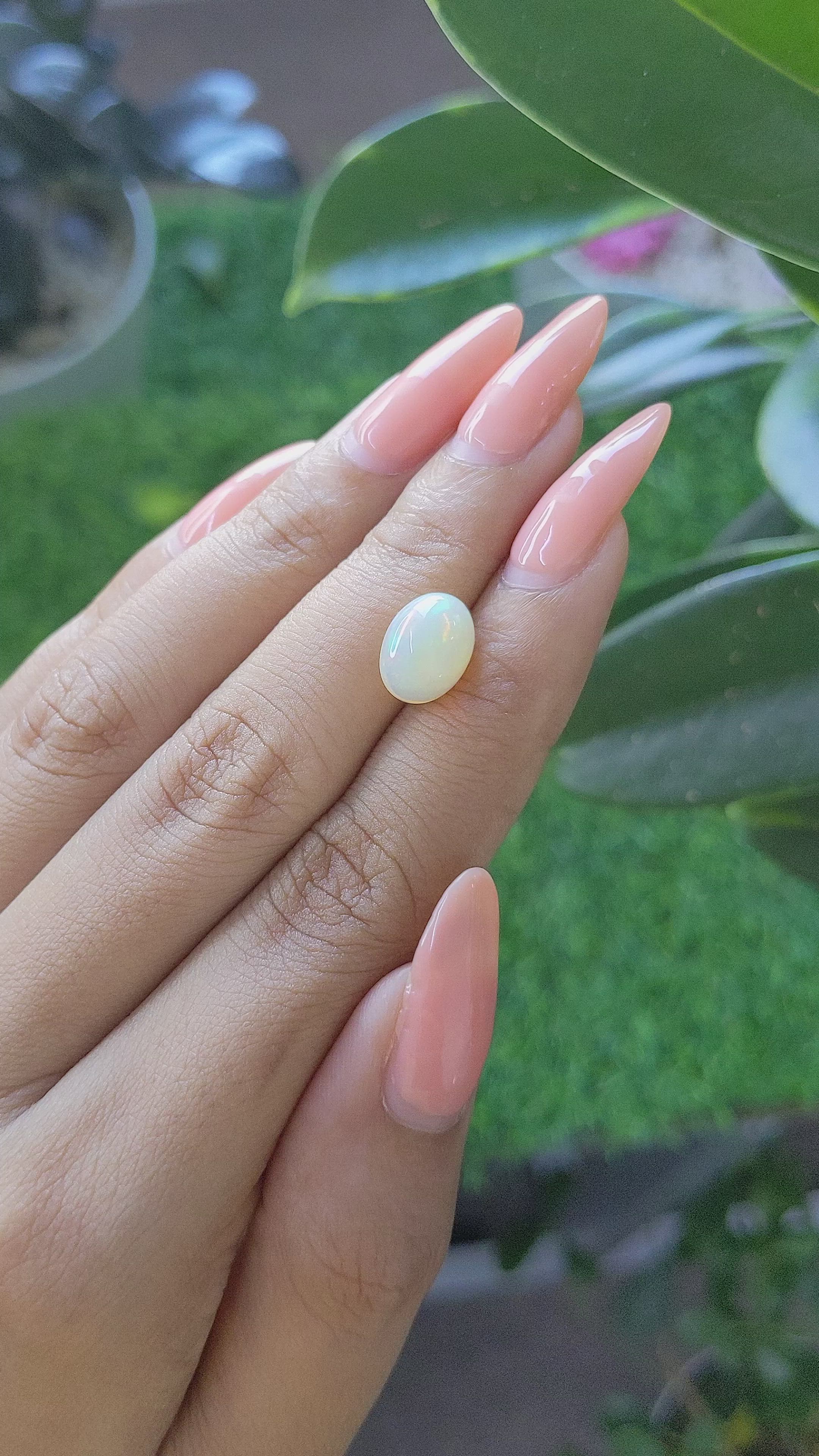 2.07 Ct. Multi Color Cabochon White Opal from Ethiopia Size Video