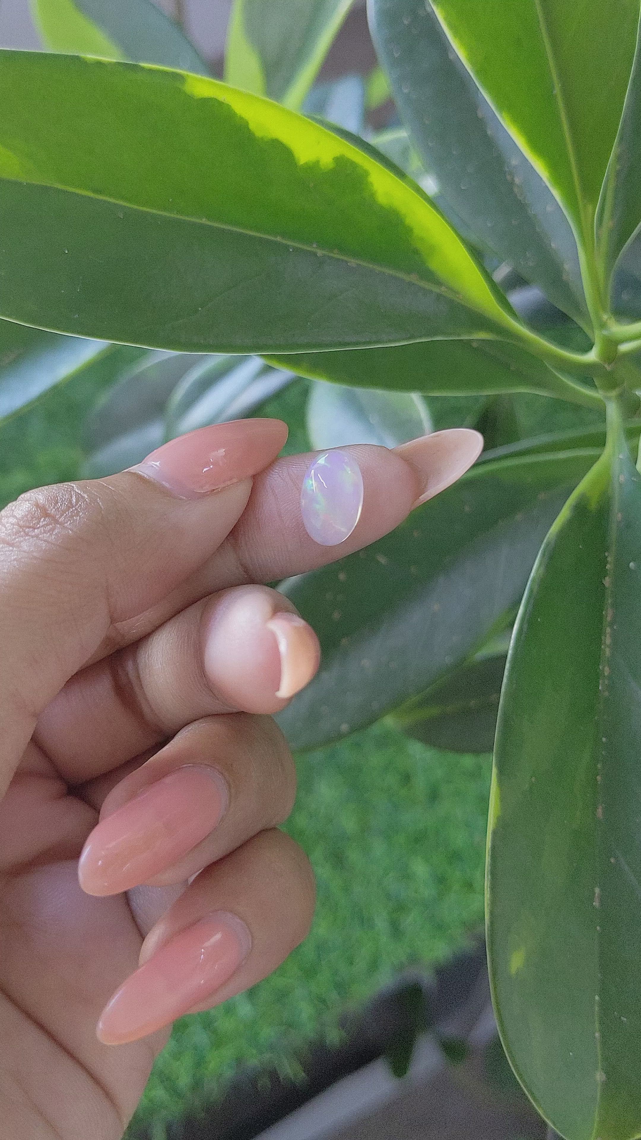 1.76 Ct. Multi Color Cabochon White Opal from Ethiopia Size Video