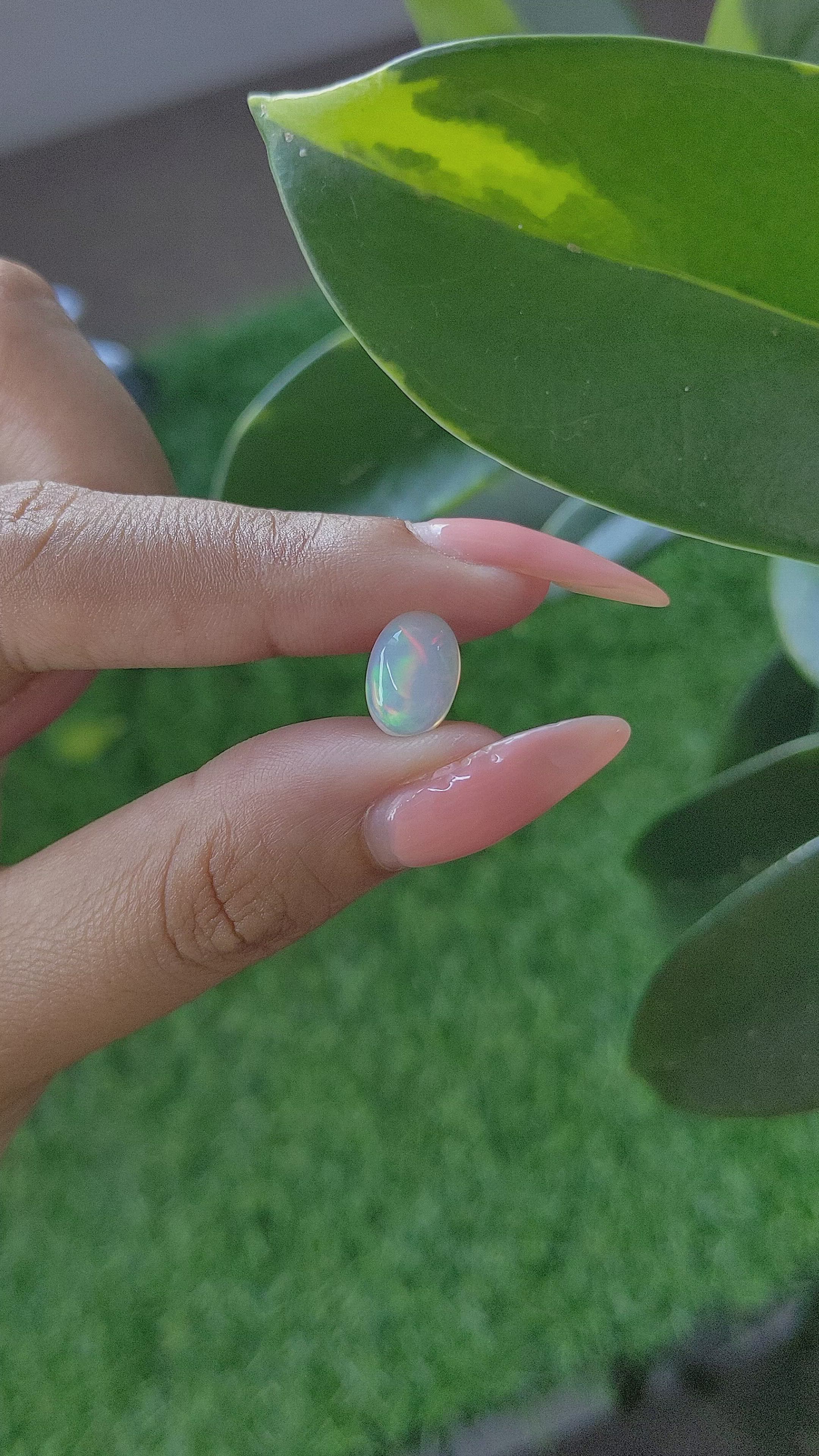 1.96 Ct. Multi Color Cabochon White Opal from Ethiopia Size Video