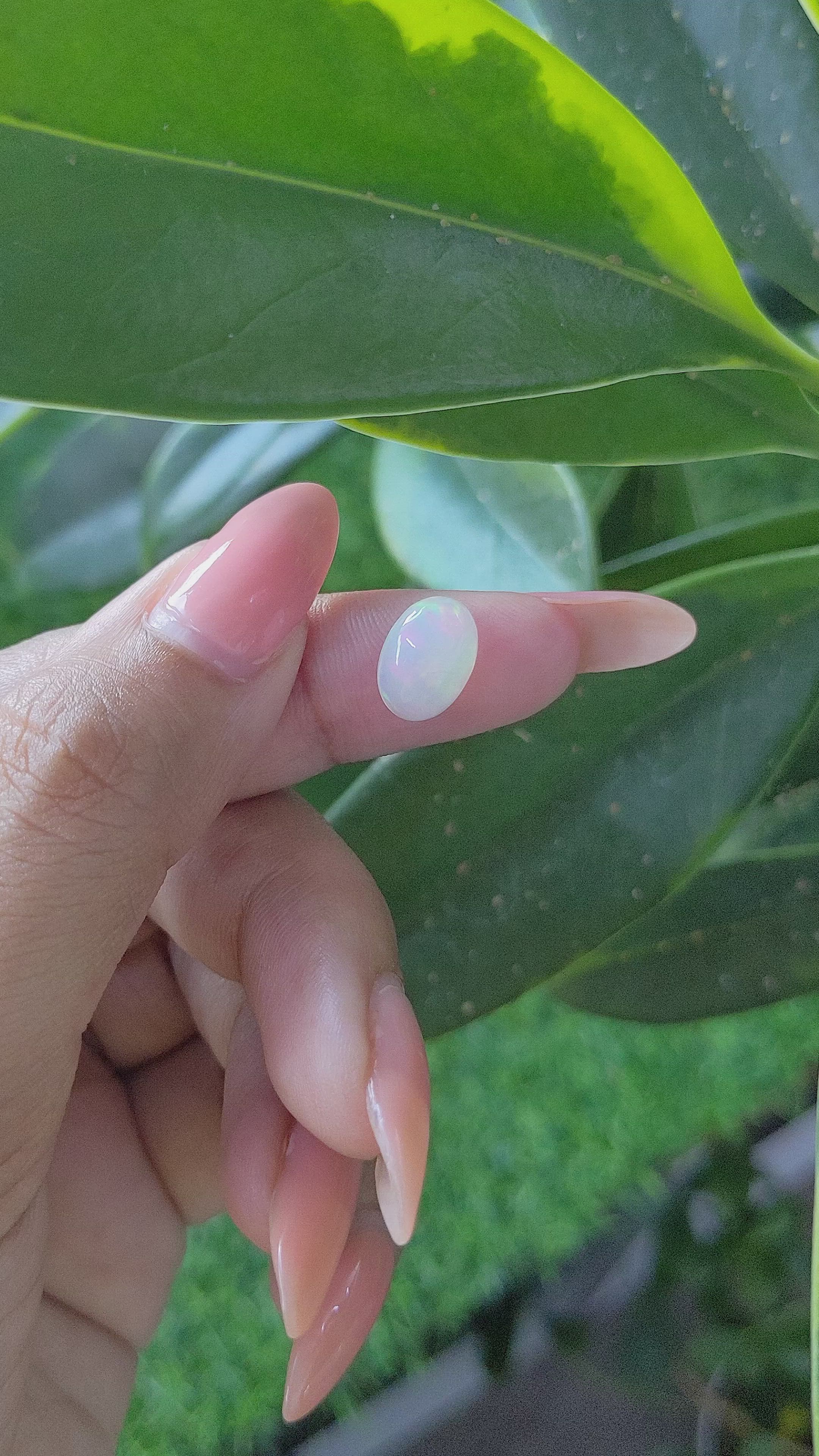 1.96 Ct. Multi Color Cabochon White Opal from Ethiopia Size Video