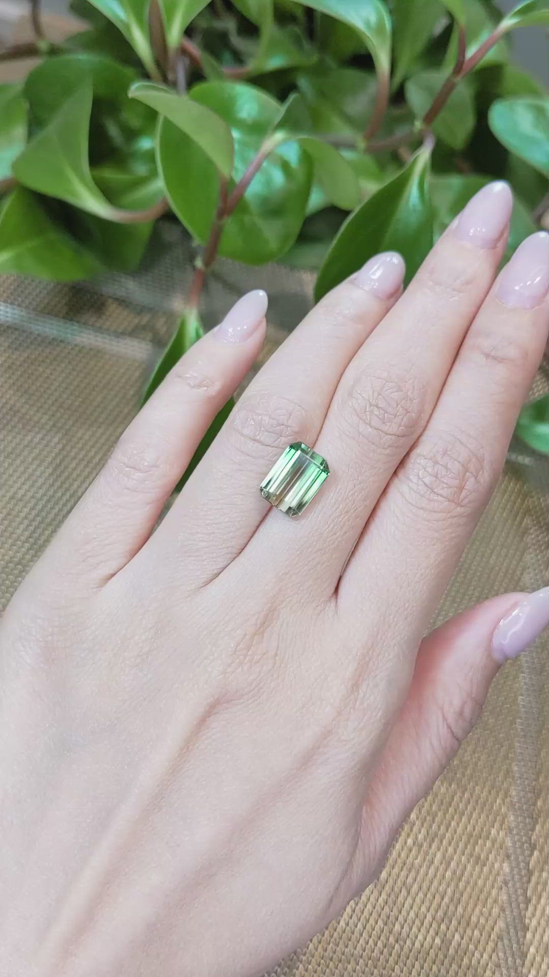 5.41 Ct. Tourmaline from Mozambique Size Video