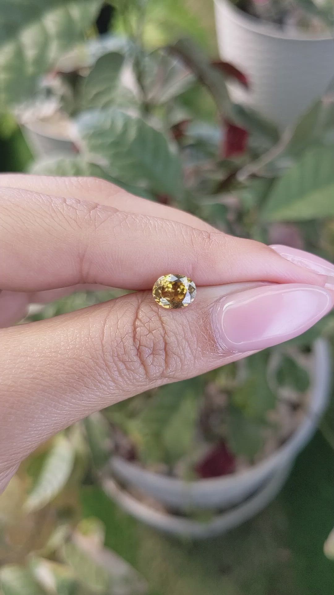 1.81 Ct. Zircon from Ceylon (Sri Lanka) Size Video