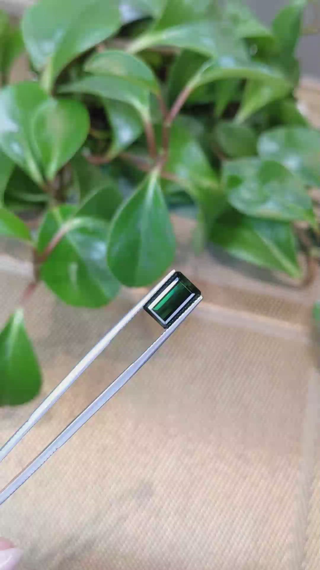 3.75 Ct. Tourmaline from Mozambique Size Video