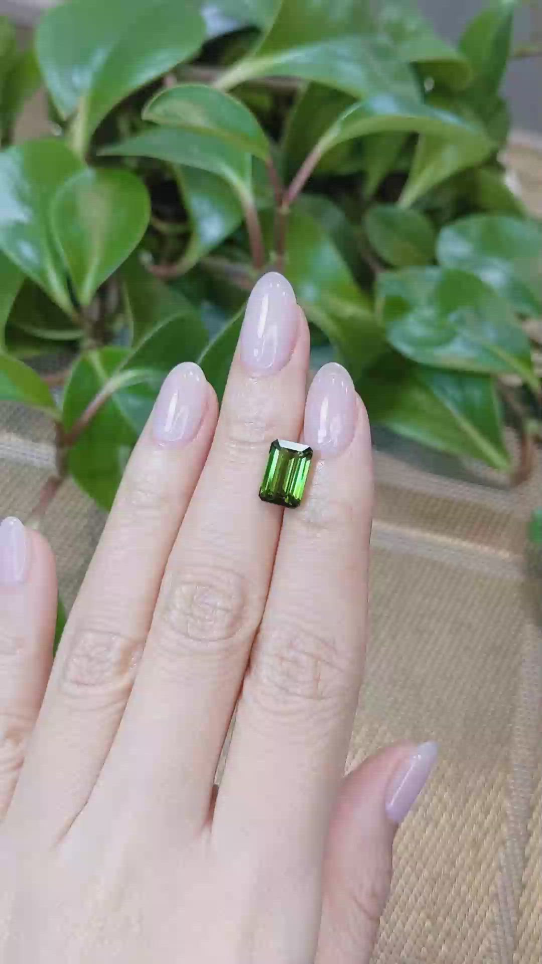 3.28 Ct. Tourmaline from Mozambique Size Video