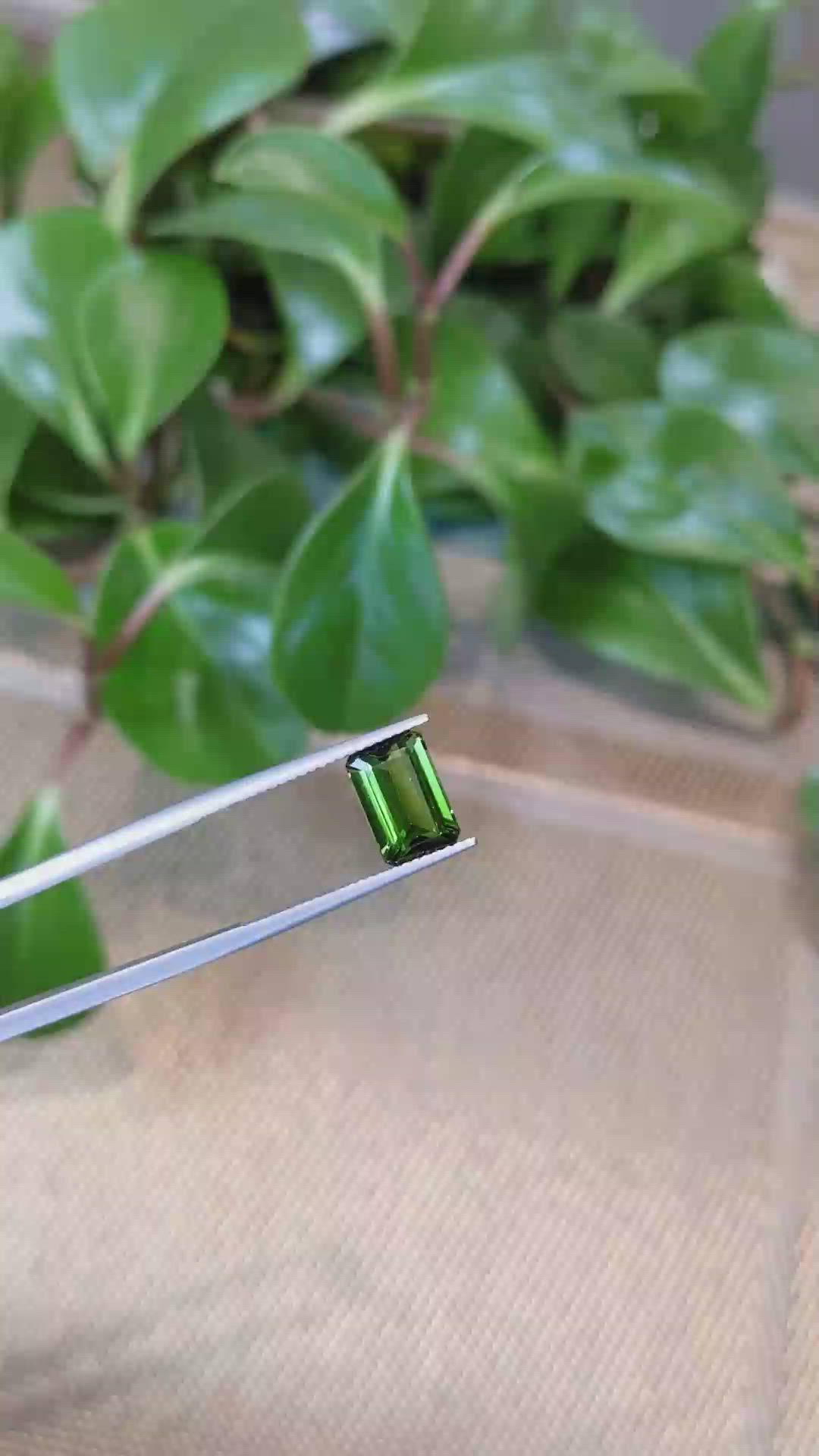 3.28 Ct. Tourmaline from Mozambique Size Video