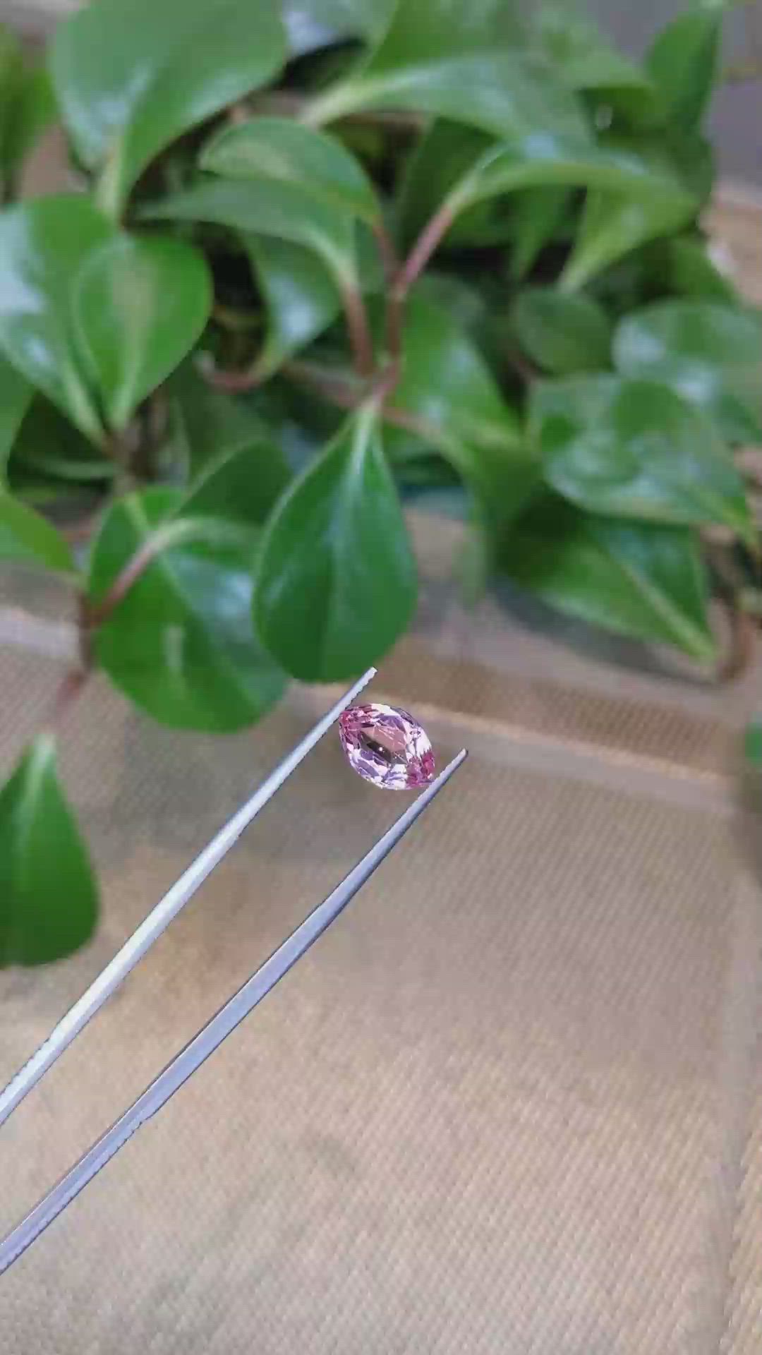 2.98 Ct. Tourmaline from Mozambique Size Video