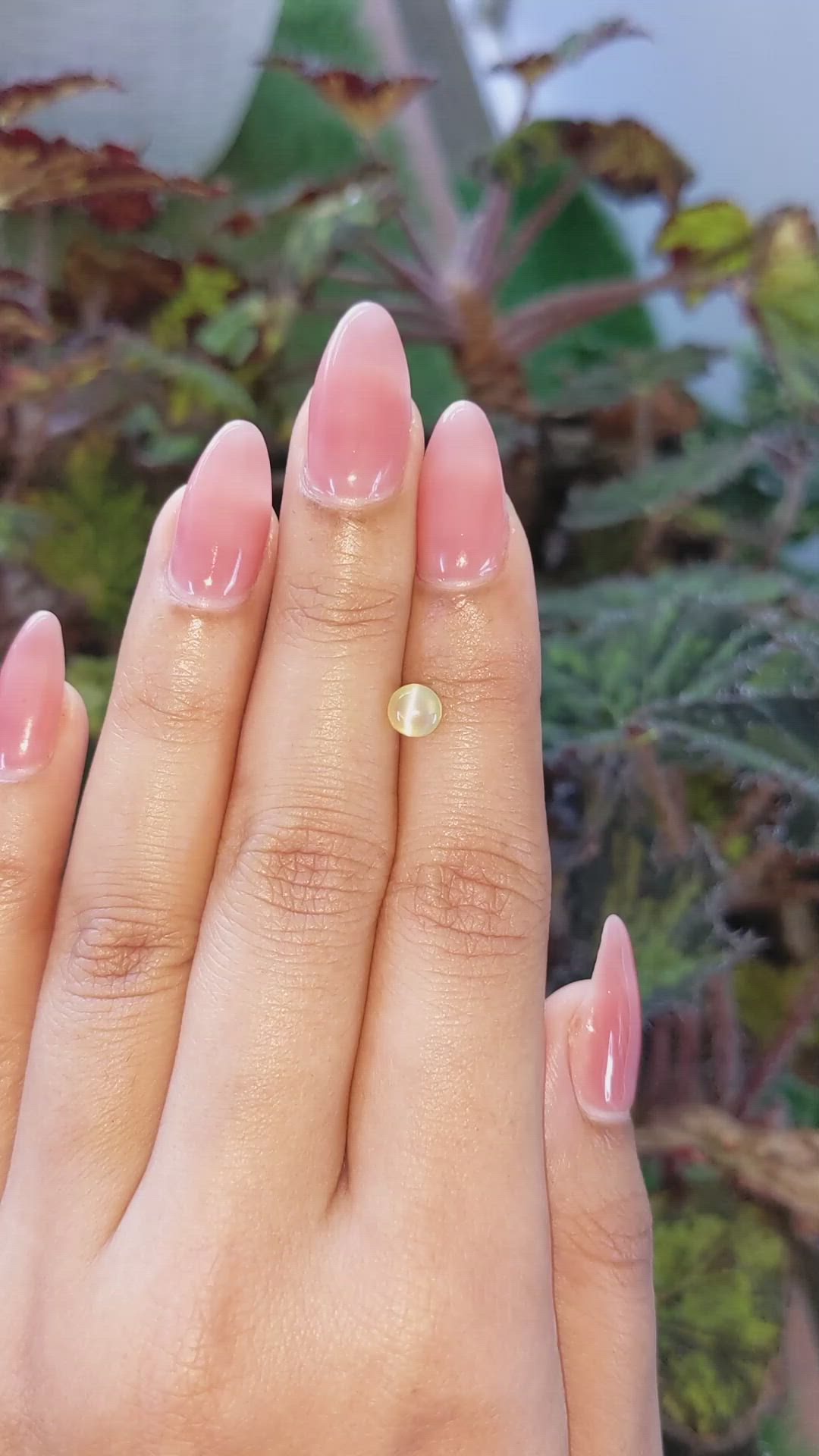 0.95 Ct. Cabochon Chrysoberyl from Ceylon (Sri Lanka) Size Video