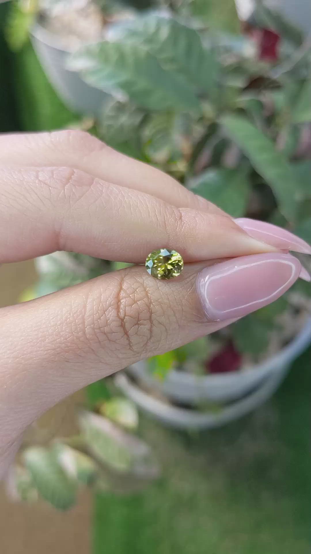 0.92 Ct. Tourmaline from Ceylon (Sri Lanka) Size Video