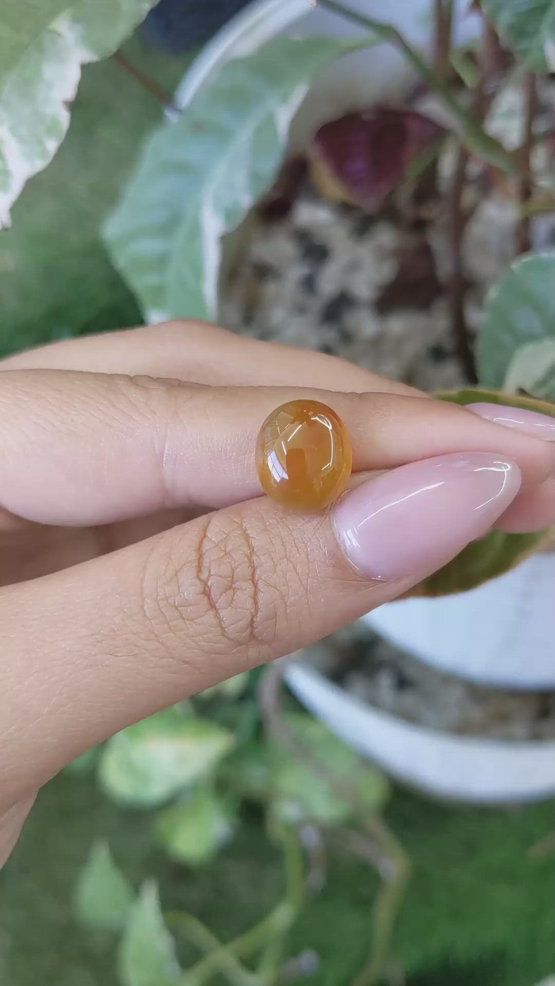 5.56 Ct. Cabochon Agate from Brazil Size Video