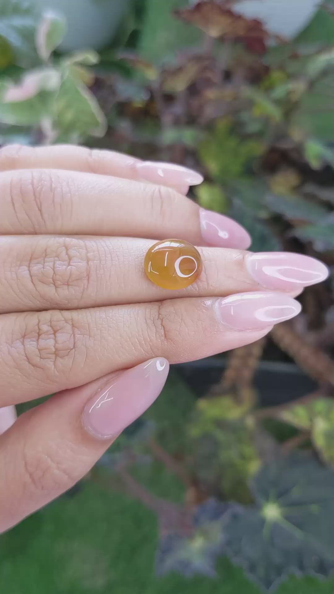 5.56 Ct. Cabochon Agate from Brazil Size Video