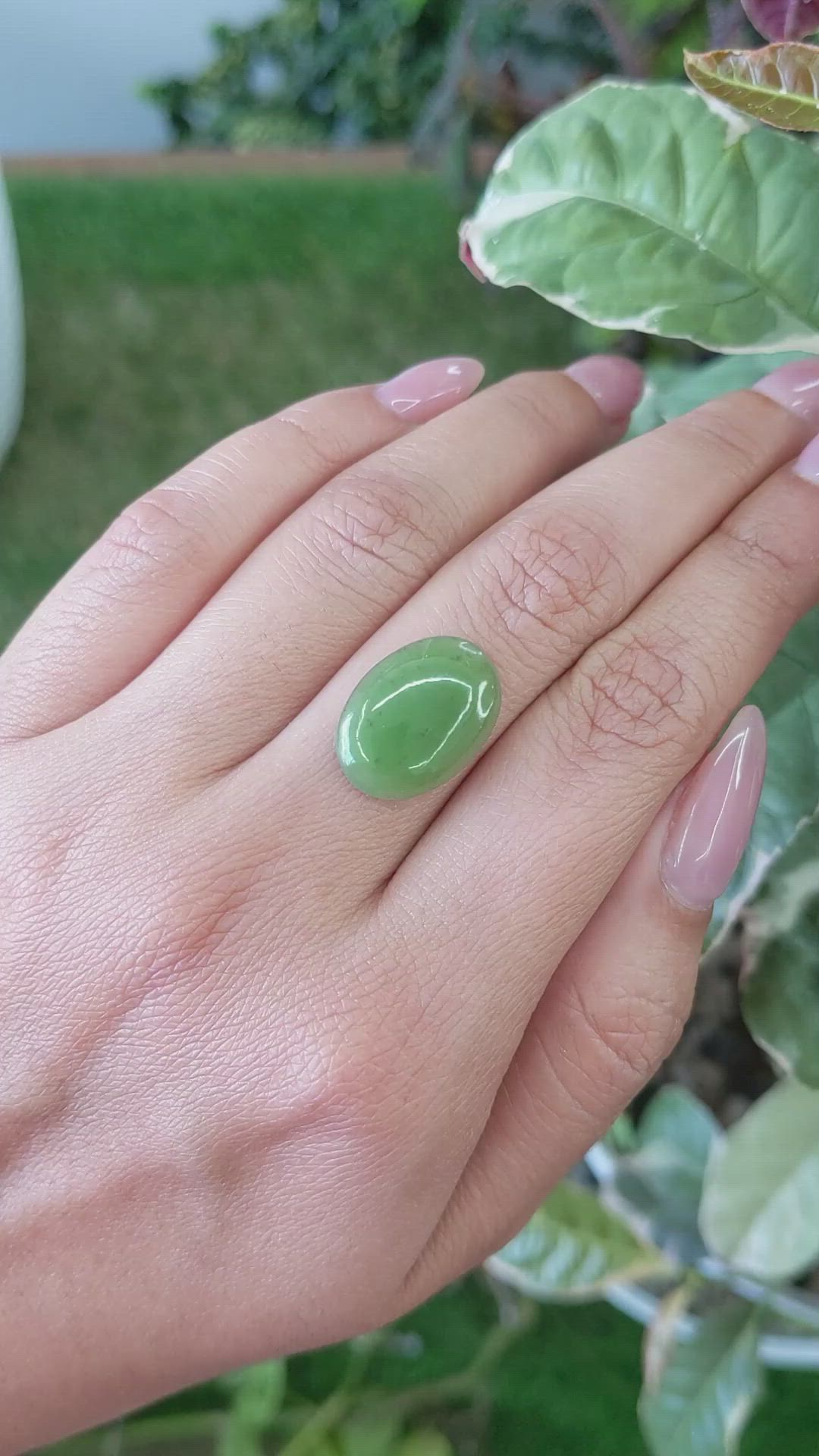 6.64 Ct. Cabochon Jade from Burma (Myanmar) Size Video