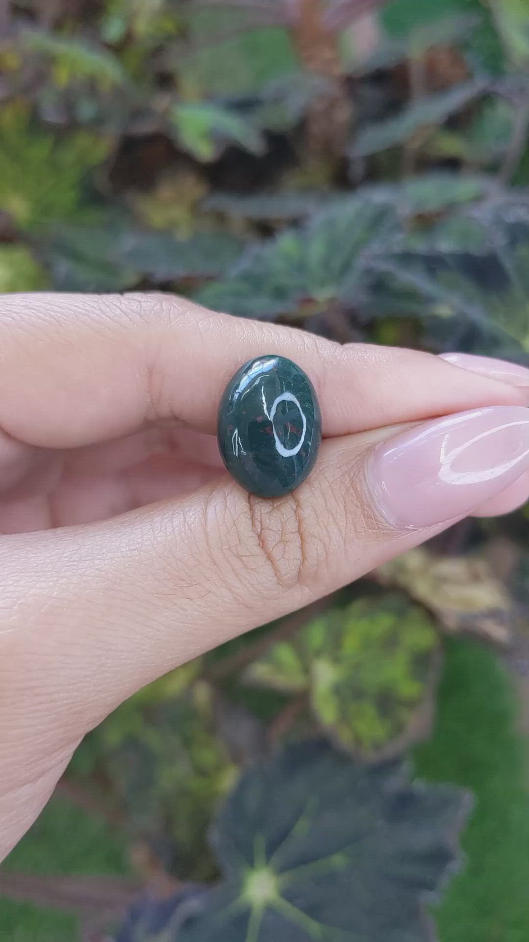 8.09 Ct. Green with Red Spots Cabochon Bloodstone (Heliotrope) from Brazil Size Video