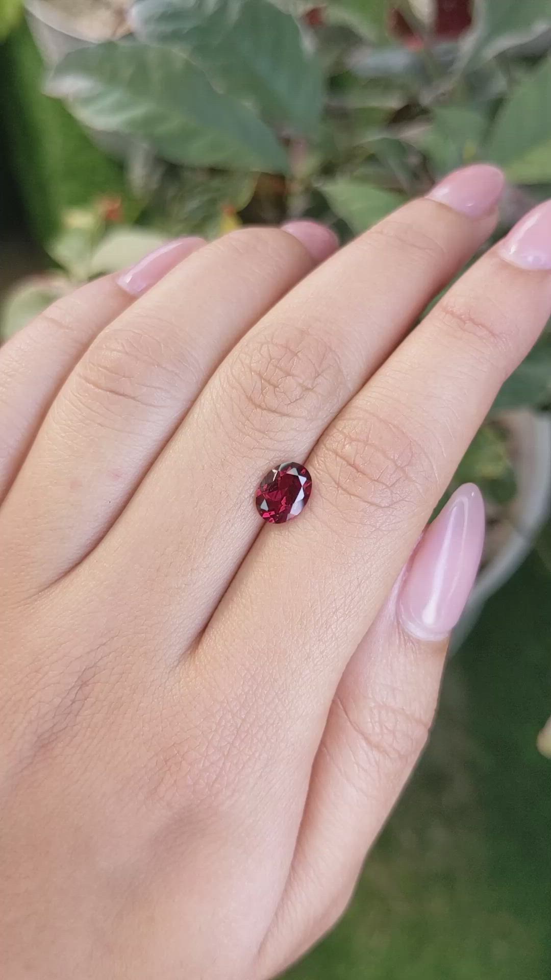 1.49 Ct. Rhodolite Garnet from Ceylon (Sri Lanka) Size Video