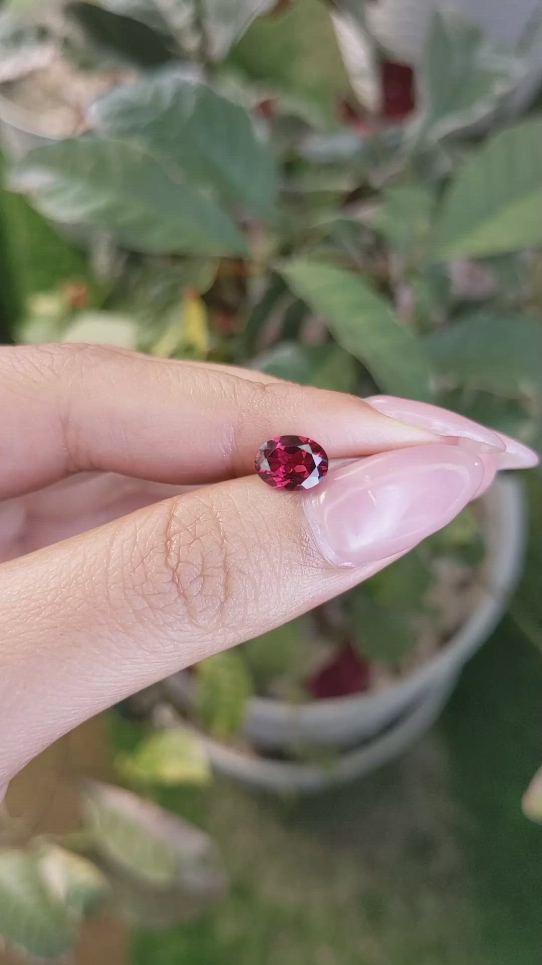 1.49 Ct. Rhodolite Garnet from Ceylon (Sri Lanka) Size Video