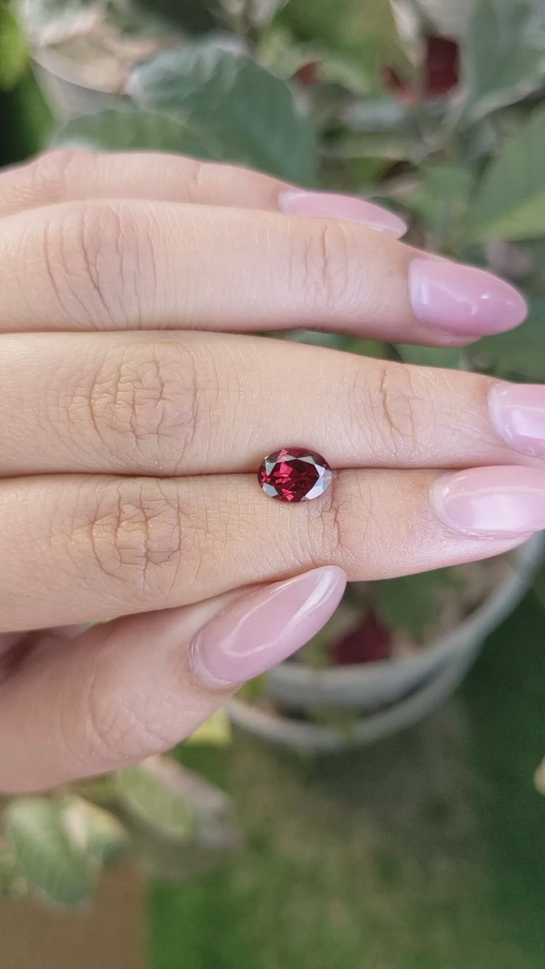 1.64 Ct. Rhodolite Garnet from Ceylon (Sri Lanka) Size Video