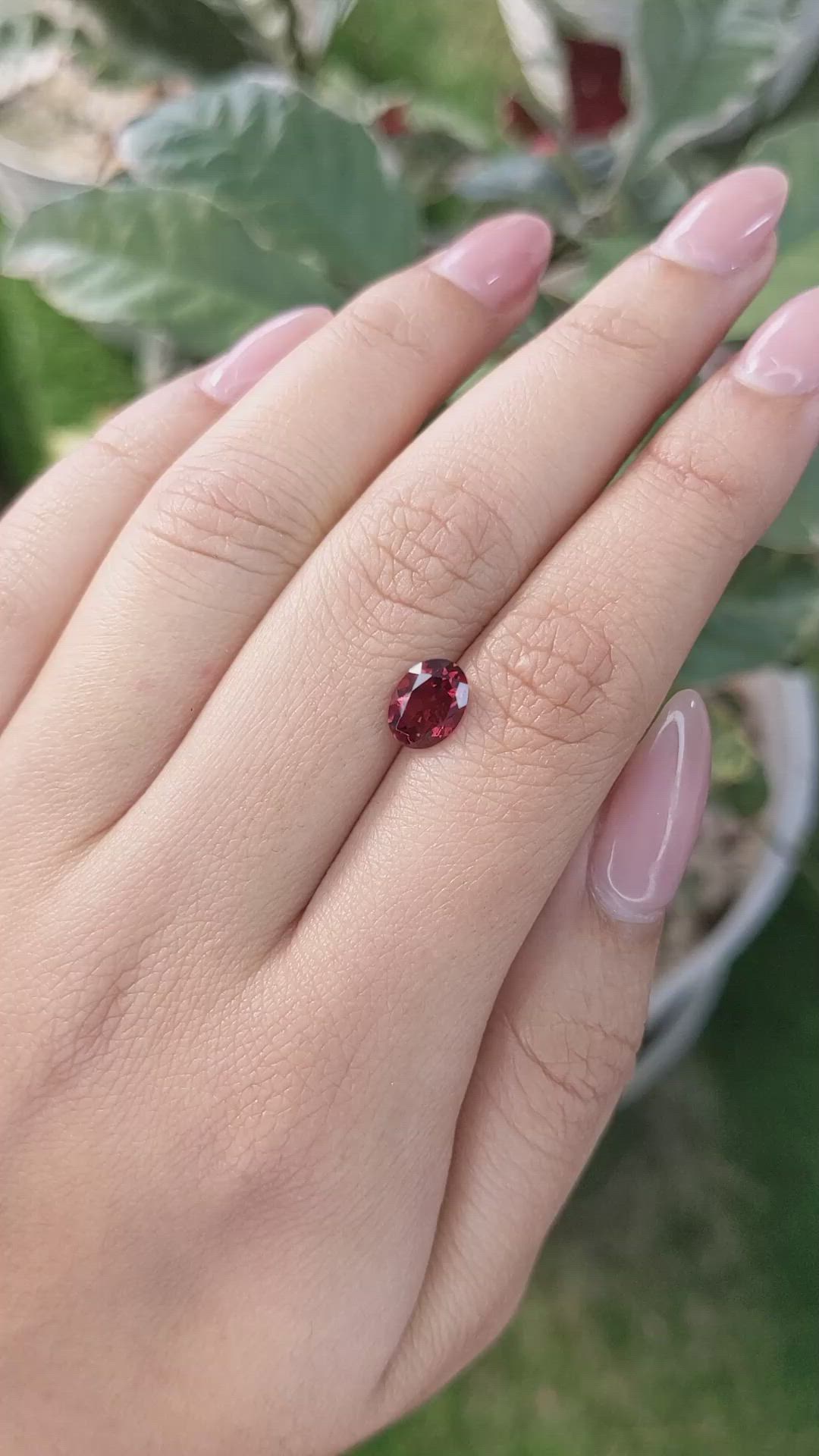 1.64 Ct. Rhodolite Garnet from Ceylon (Sri Lanka) Size Video