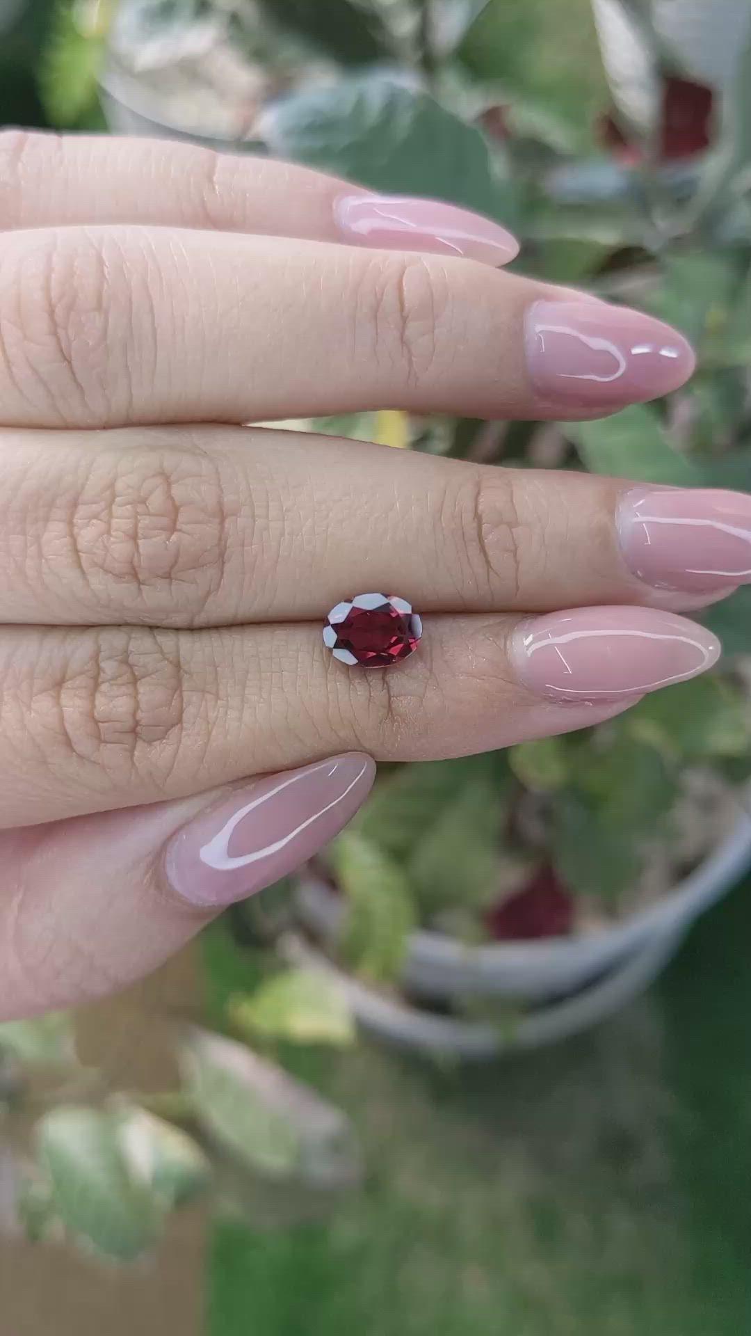 1.46 Ct. Rhodolite Garnet from Ceylon (Sri Lanka) Size Video