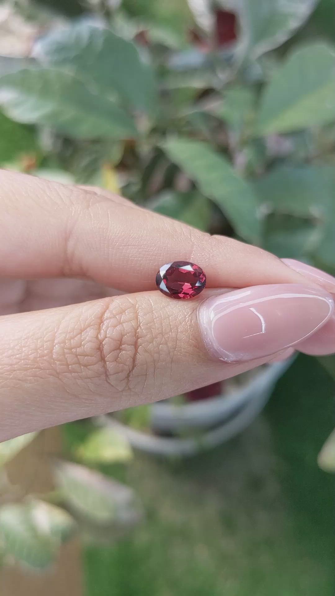 1.46 Ct. Rhodolite Garnet from Ceylon (Sri Lanka) Size Video