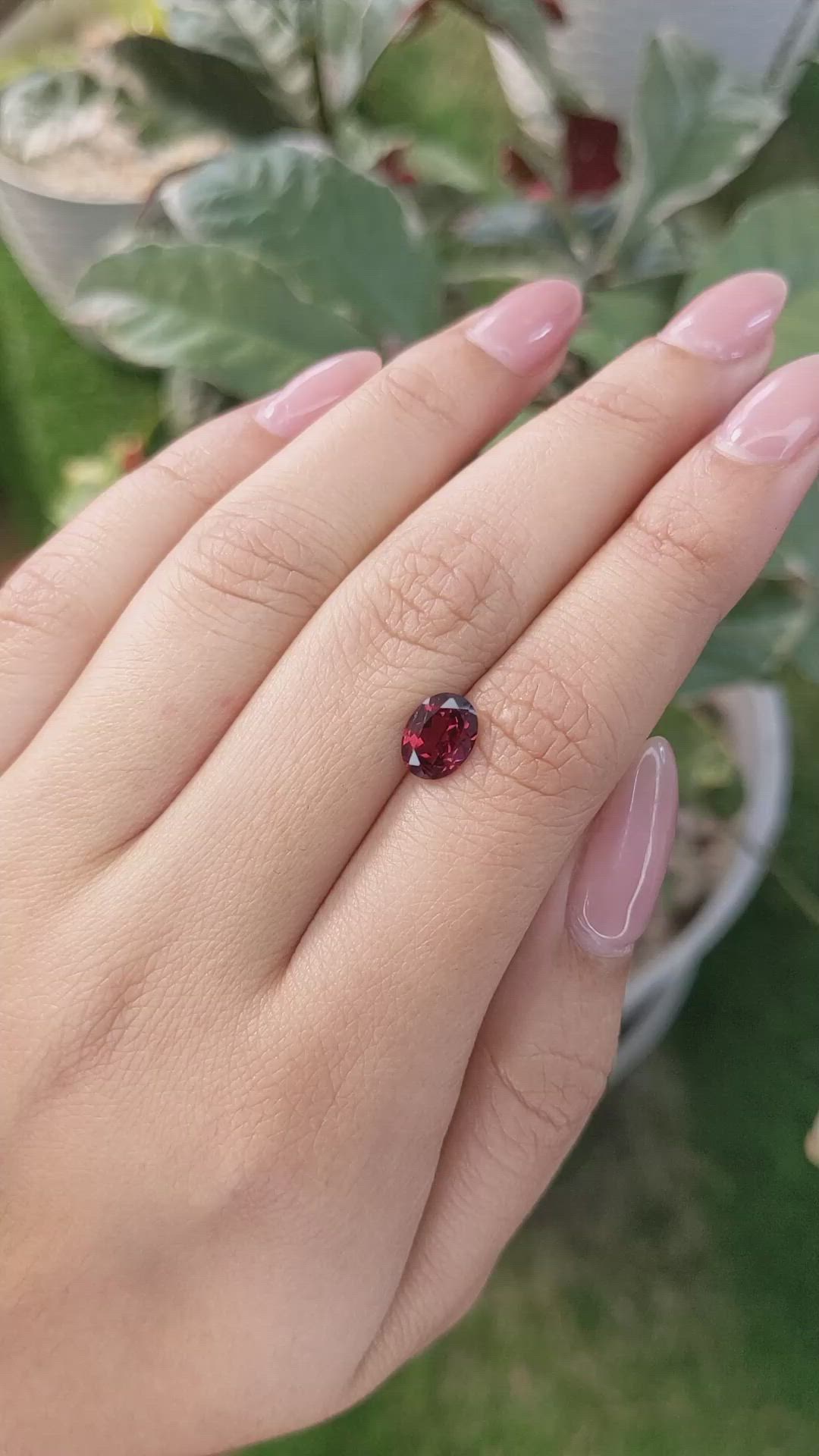 1.52 Ct. Rhodolite Garnet from Ceylon (Sri Lanka) Size Video