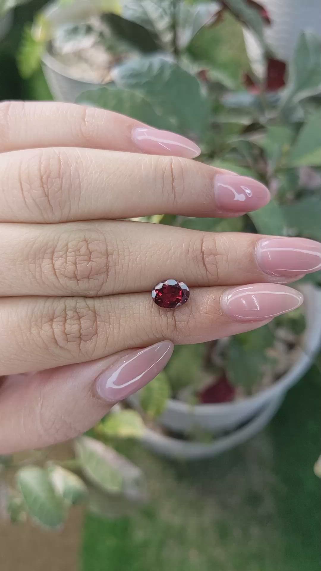 1.52 Ct. Rhodolite Garnet from Ceylon (Sri Lanka) Size Video
