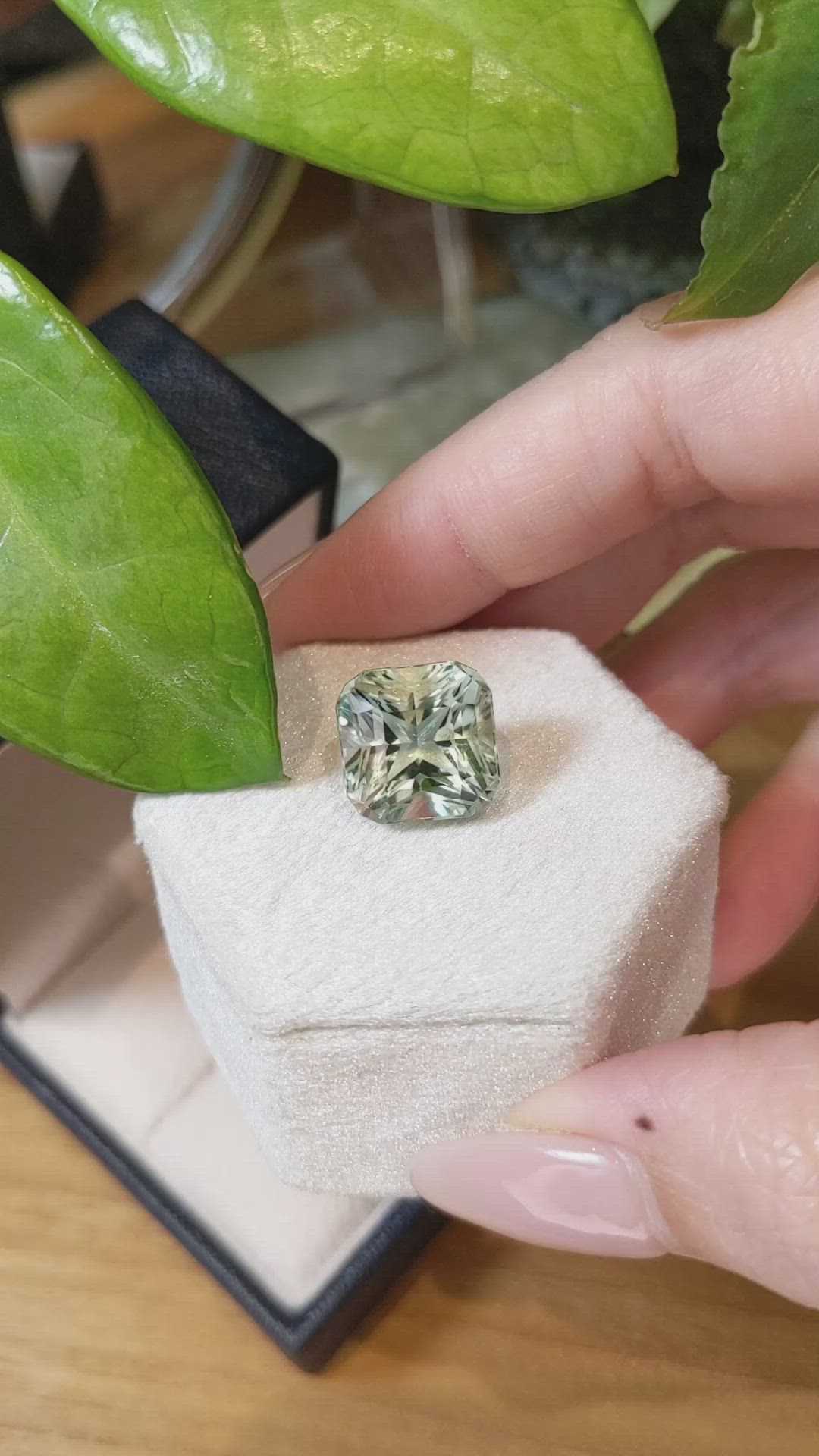 11.06 Ct. Prasiolite from Brazil Size Video