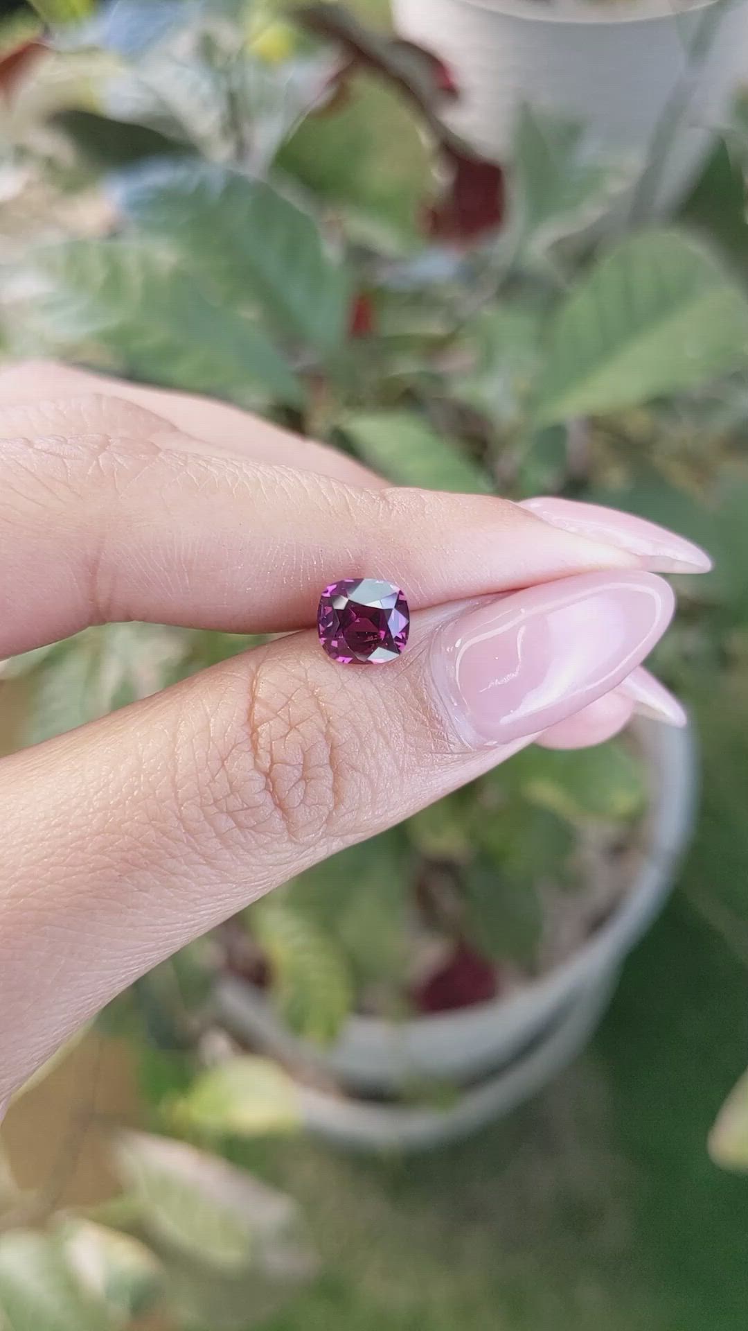 1.90 Ct. Rhodolite Garnet from Ceylon (Sri Lanka) Size Video
