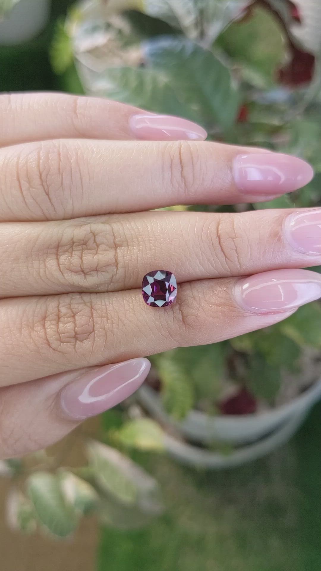 1.90 Ct. Rhodolite Garnet from Ceylon (Sri Lanka) Size Video