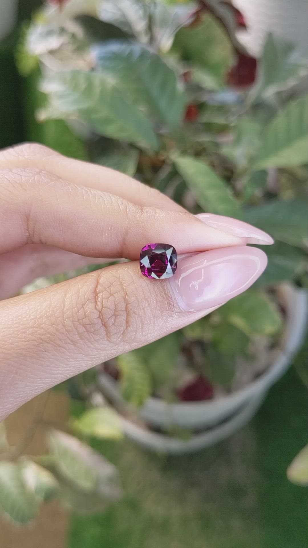 2.41 Ct. Rhodolite Garnet from Ceylon (Sri Lanka) Size Video