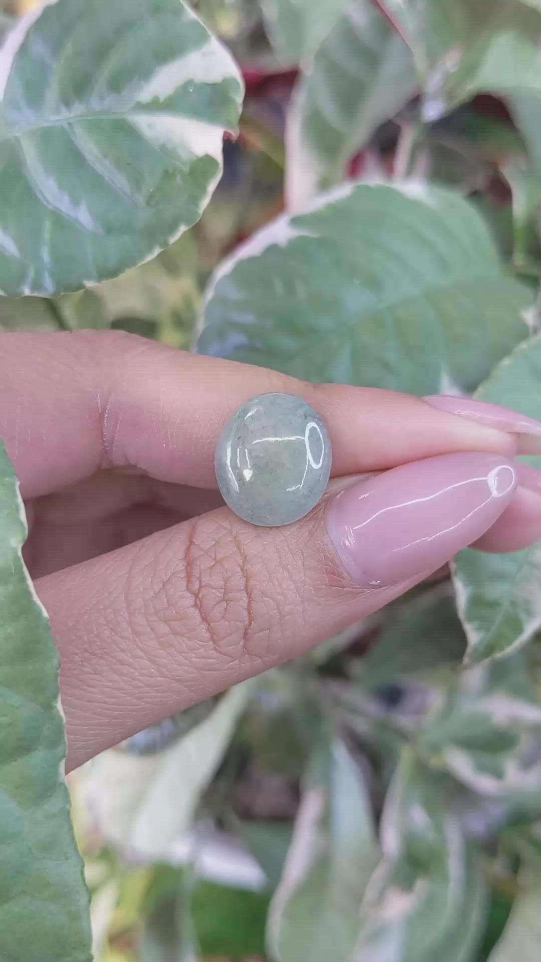 7.02 Ct. Cabochon Jade from Burma (Myanmar) Size Video