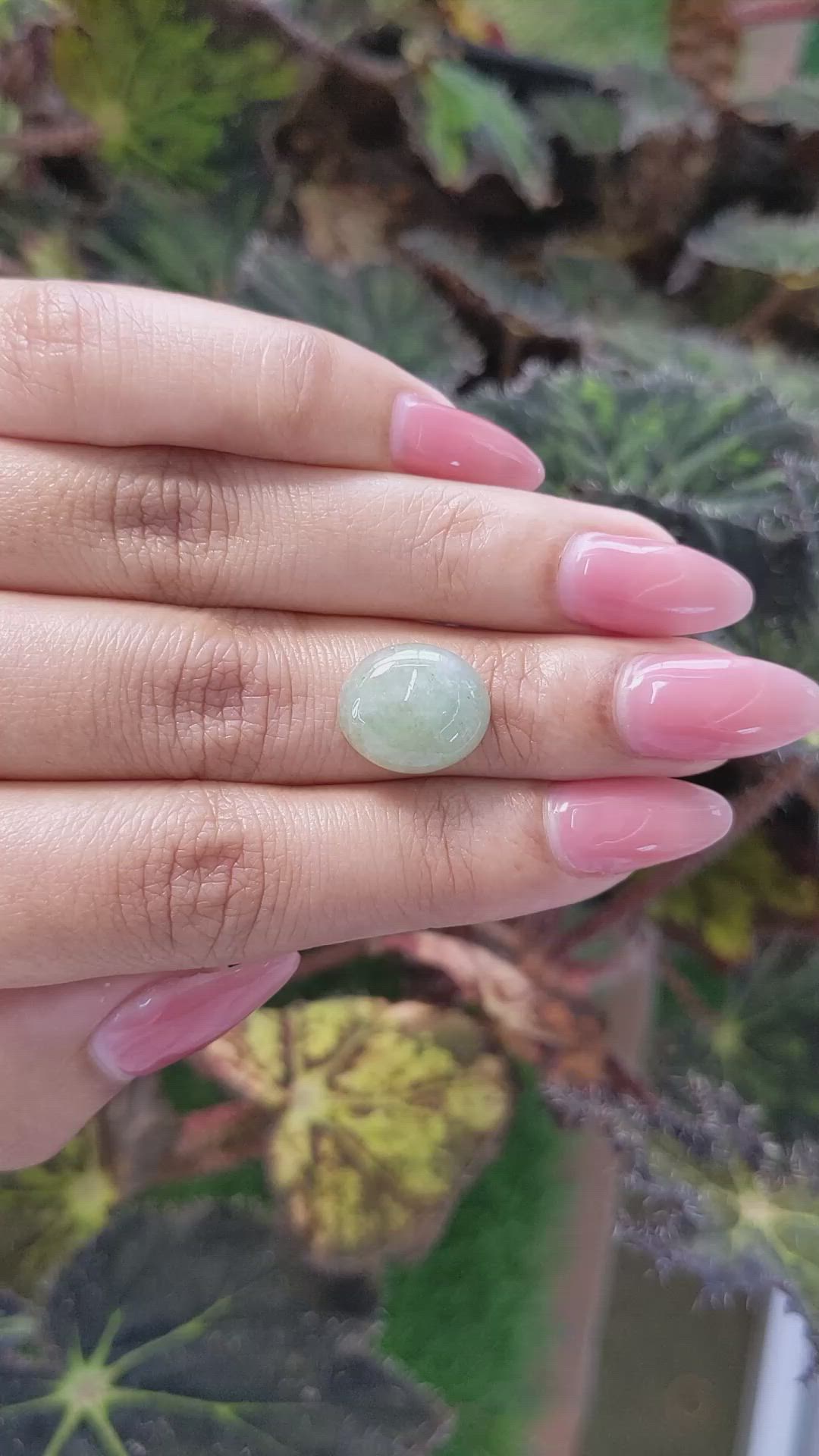 5.31 Ct. Cabochon Jade from Burma (Myanmar) Size Video