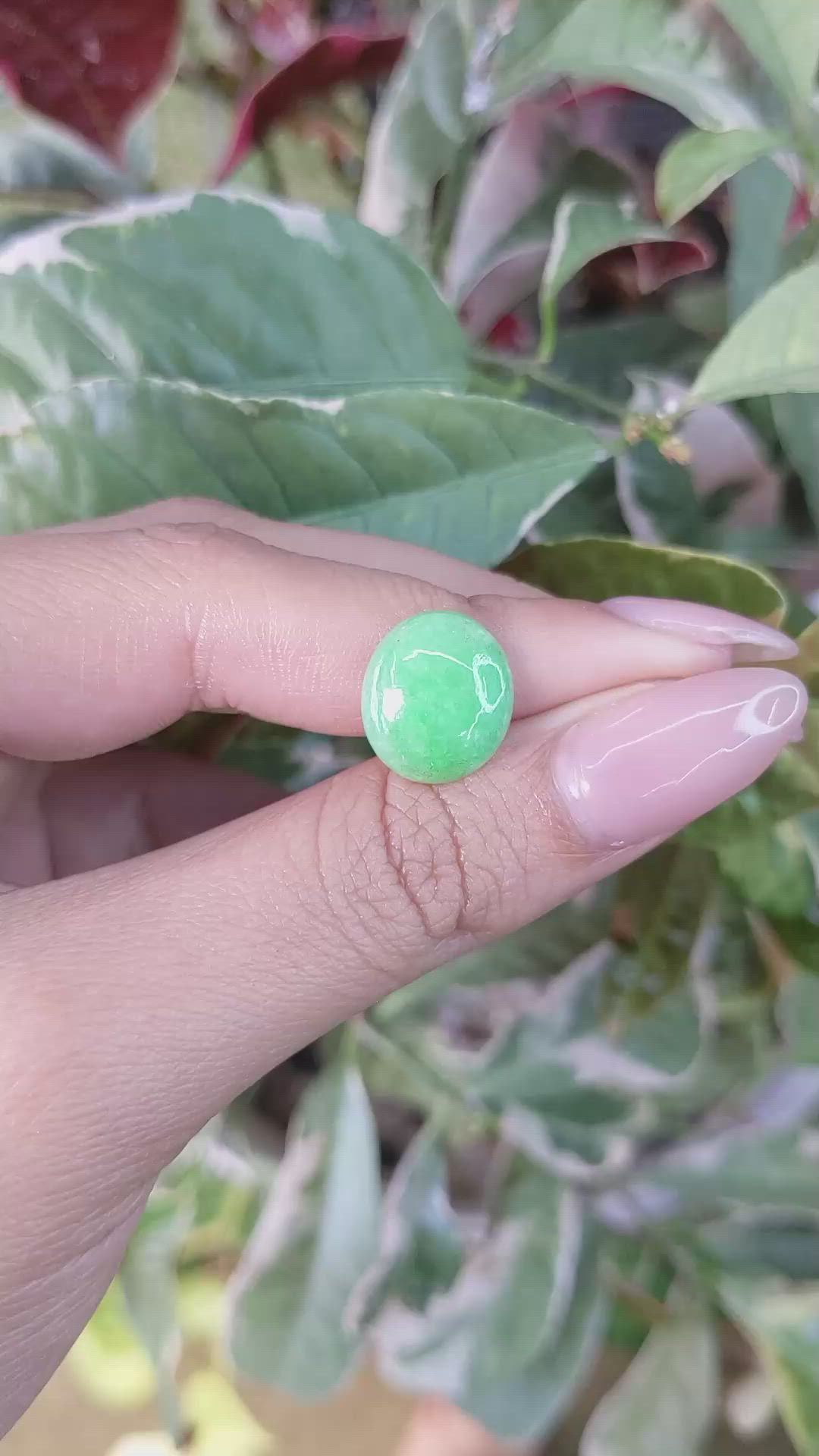 5.67 Ct. Cabochon Jade from Burma (Myanmar) Size Video