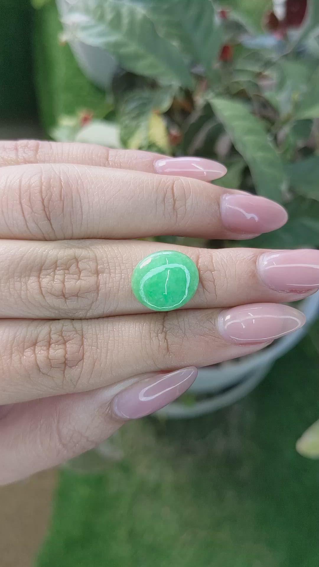 5.67 Ct. Cabochon Jade from Burma (Myanmar) Size Video