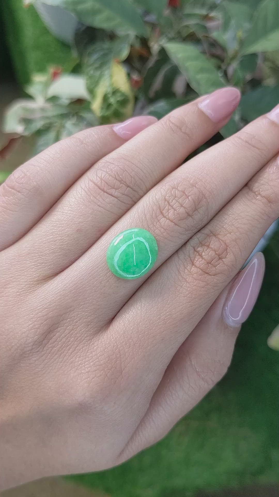 5.67 Ct. Cabochon Jade from Burma (Myanmar) Size Video