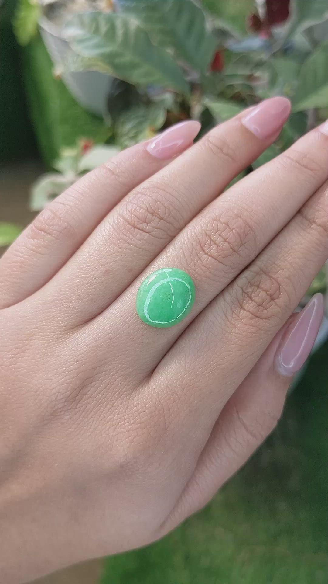 5.20 Ct. Cabochon Jade from Burma (Myanmar) Size Video