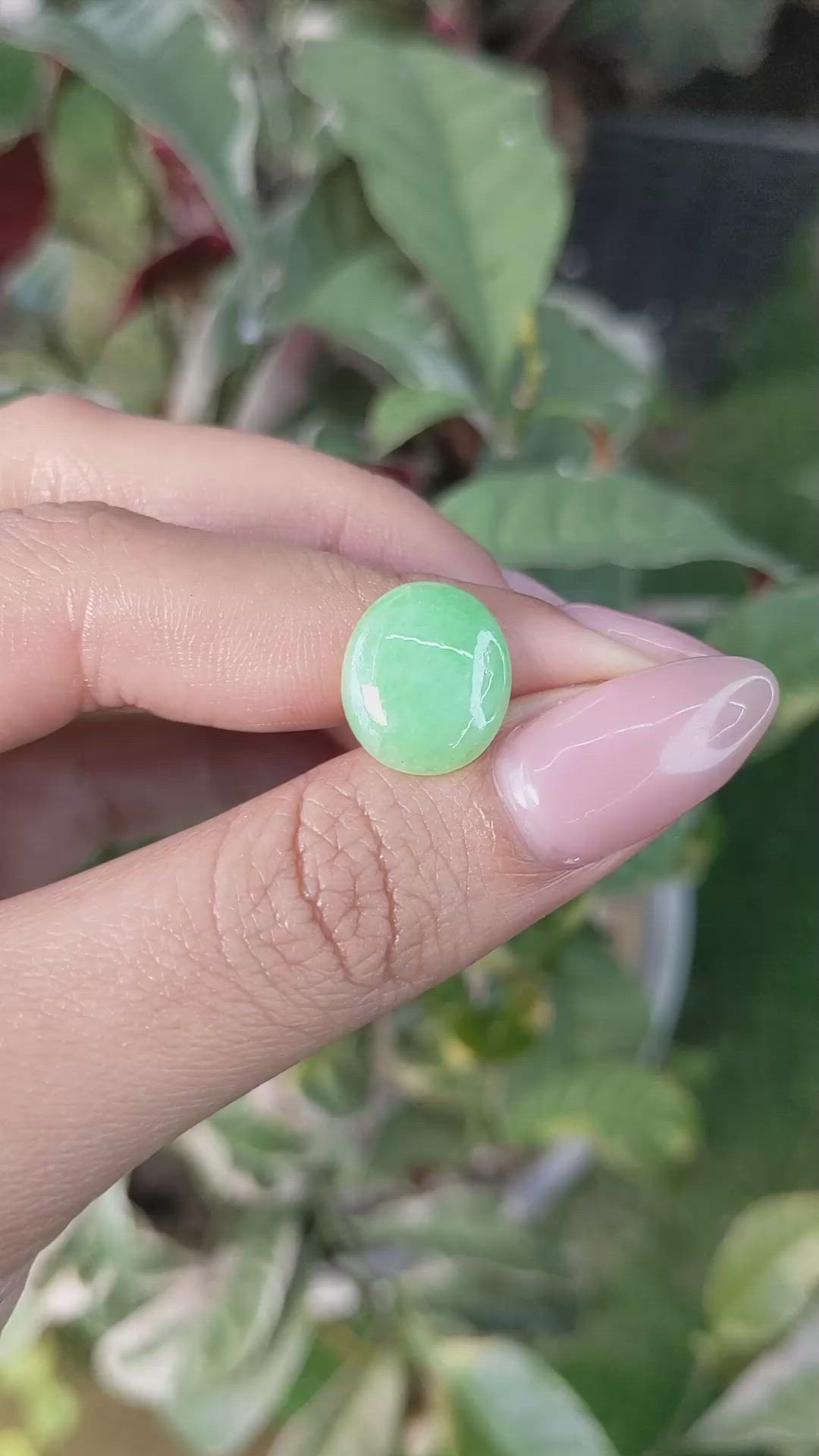 4.53 Ct. Cabochon Jade from Burma (Myanmar) Size Video