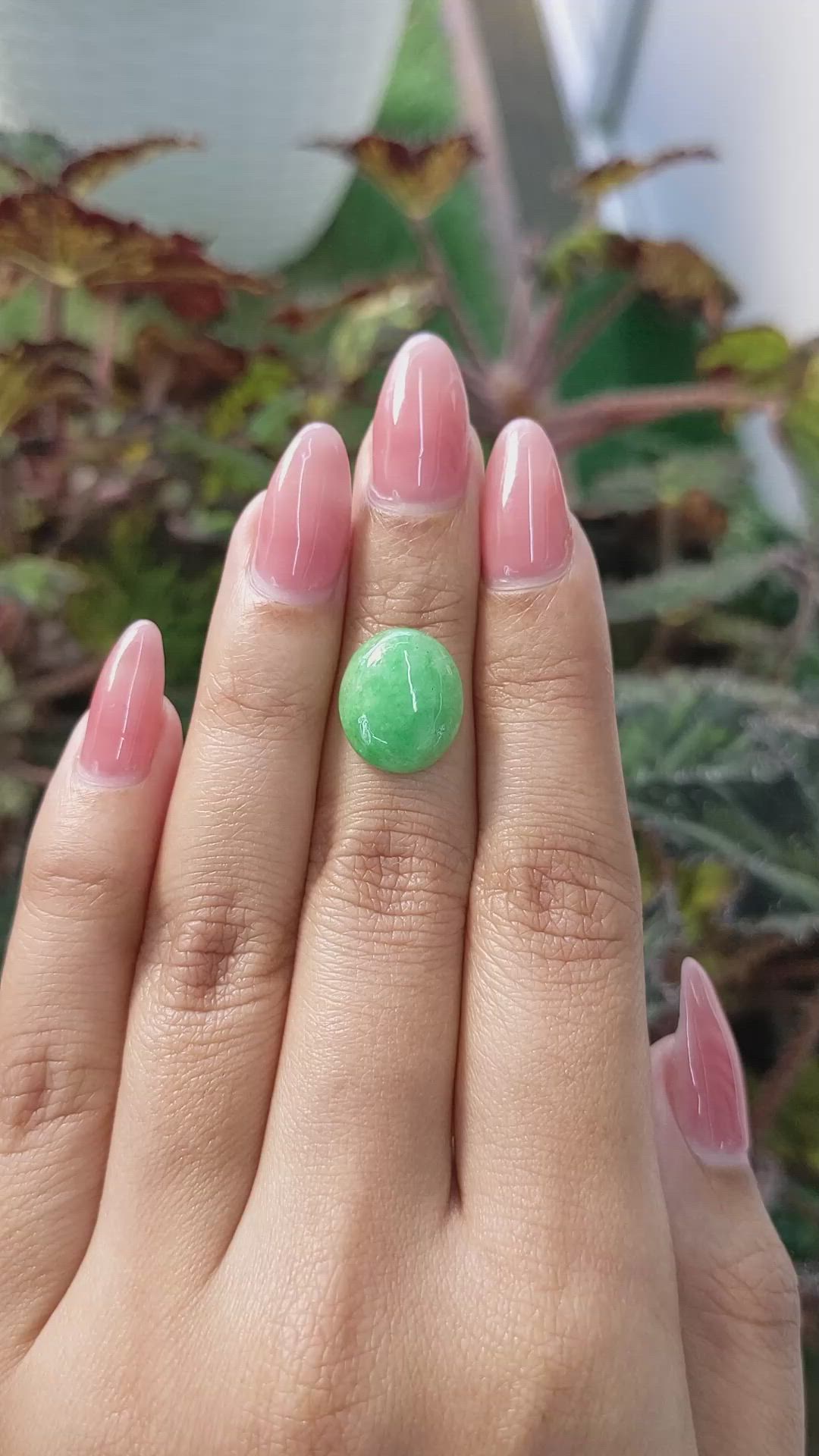 5.09 Ct. Cabochon Jade from Burma (Myanmar) Size Video