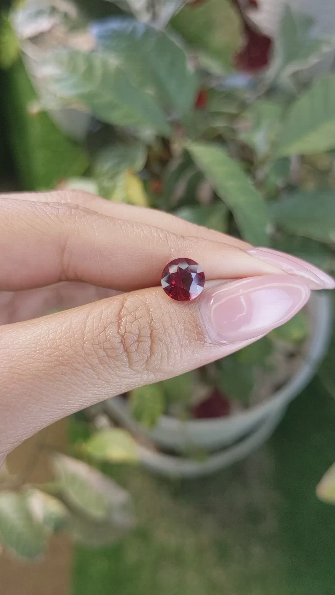 2.37 Ct. Garnet from Ceylon (Sri Lanka) Size Video