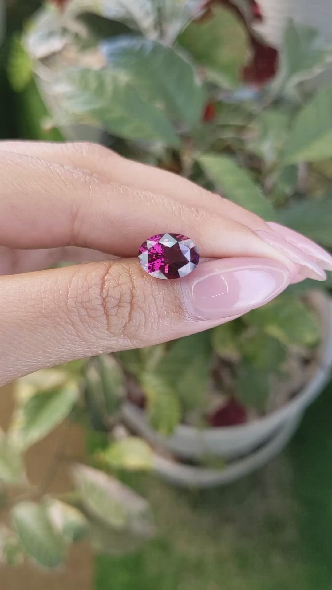 5.27 Ct. Garnet from Ceylon (Sri Lanka) Size Video