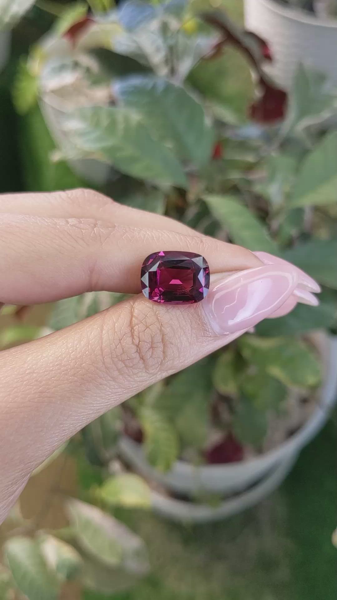 7.25 Ct. Garnet from Ceylon (Sri Lanka) Size Video