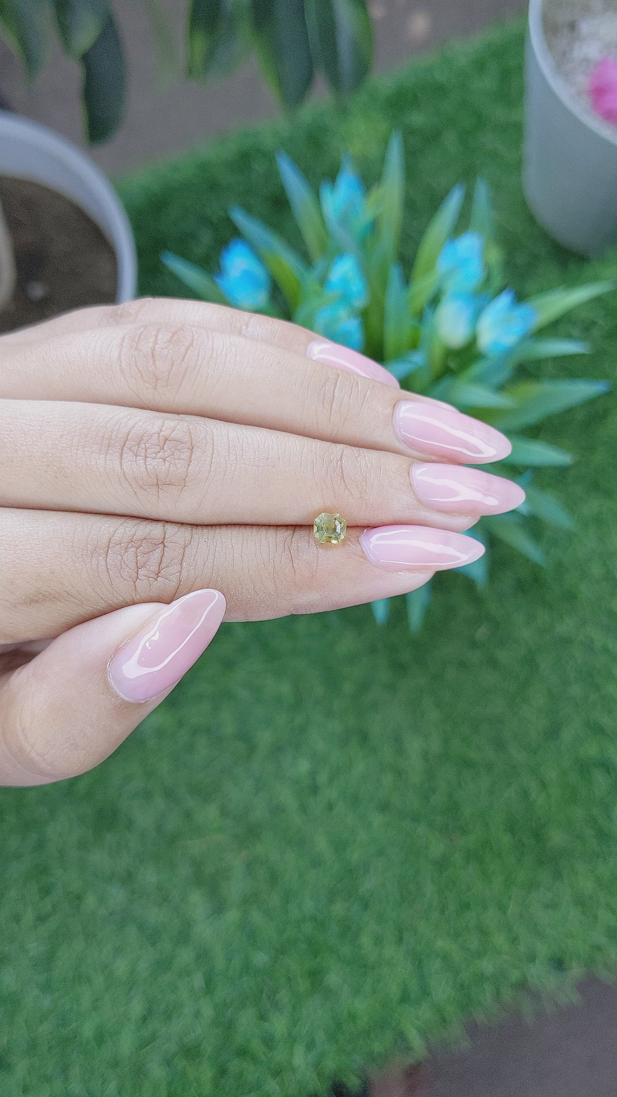 0.77 Ct. Chrysoberyl from Tanzania Size Video