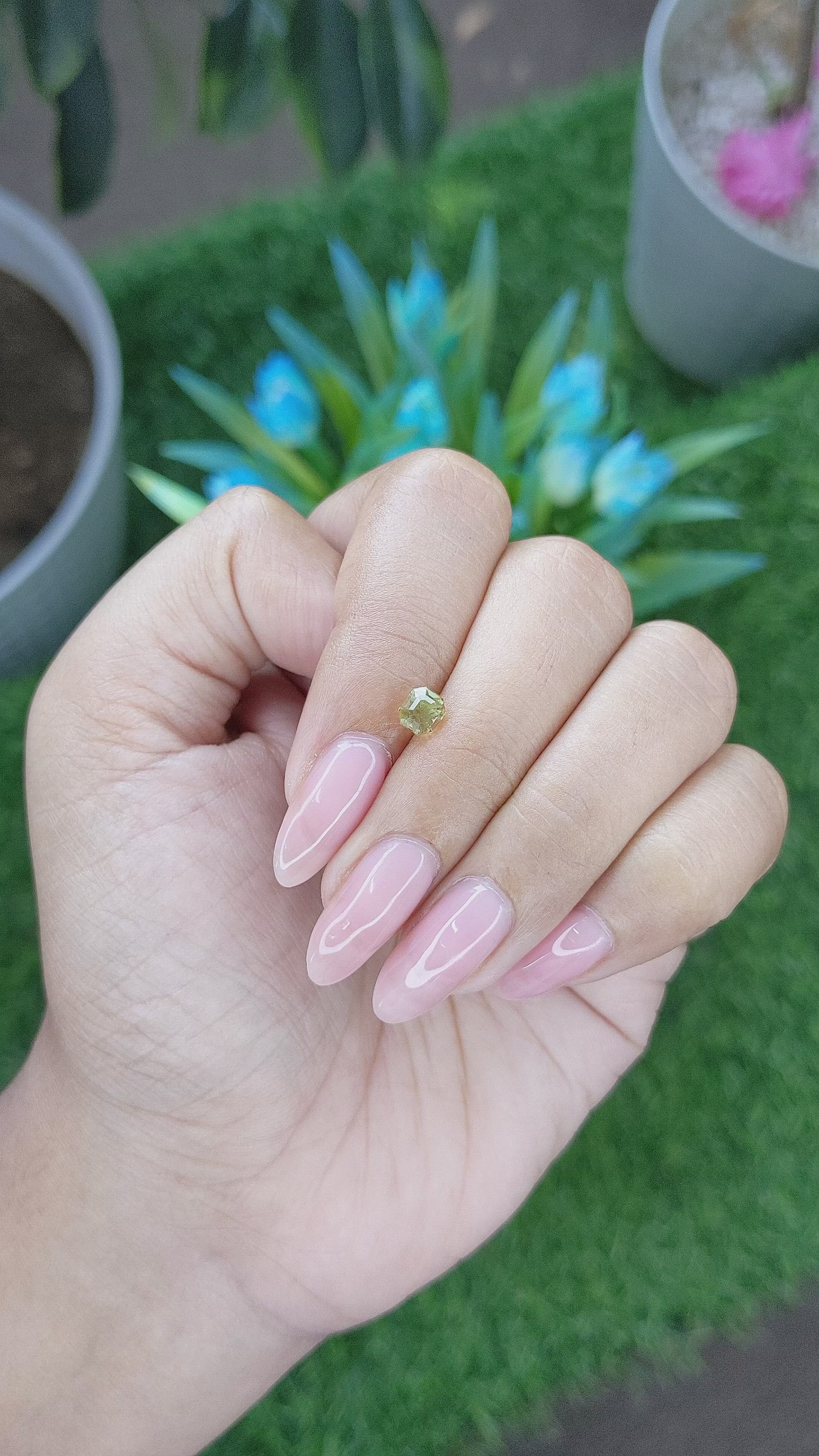 0.77 Ct. Chrysoberyl from Tanzania Size Video