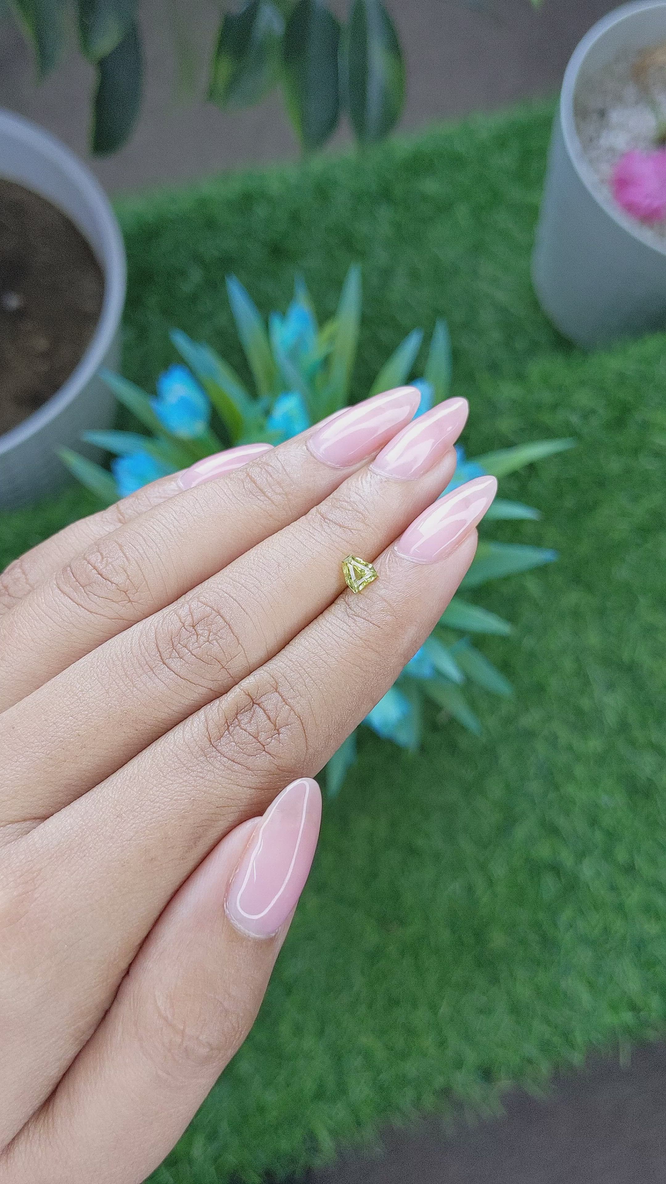 0.52 Ct. Chrysoberyl from Tanzania Size Video