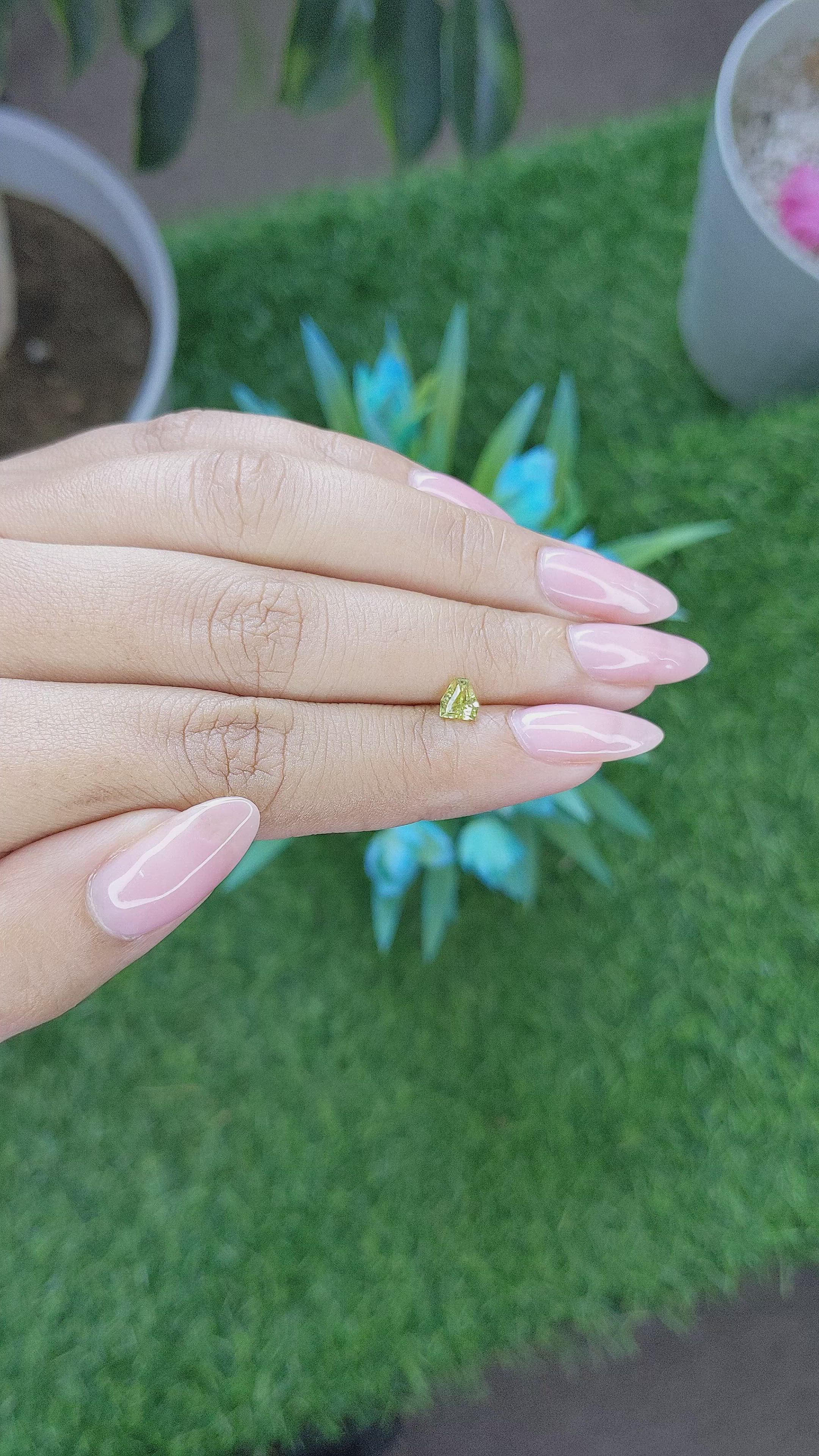 0.52 Ct. Chrysoberyl from Tanzania Size Video