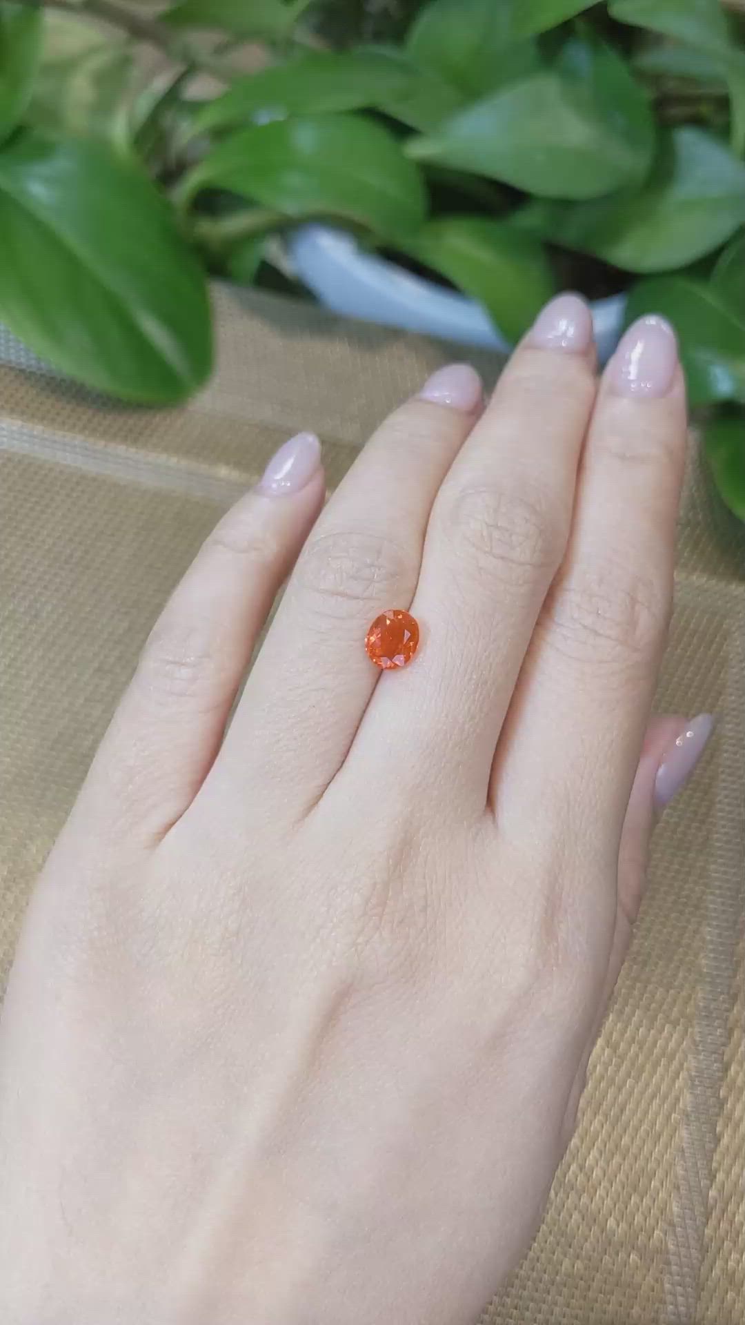 0.84 Ct. Fire Opal from Mexico Size Video
